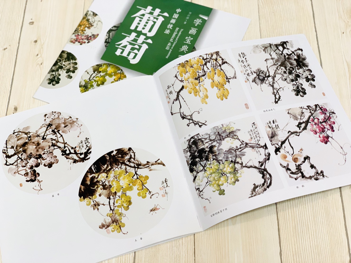 《學畫寶典 葡萄 》中國畫技法 福建美術出版社 寫意 國畫 