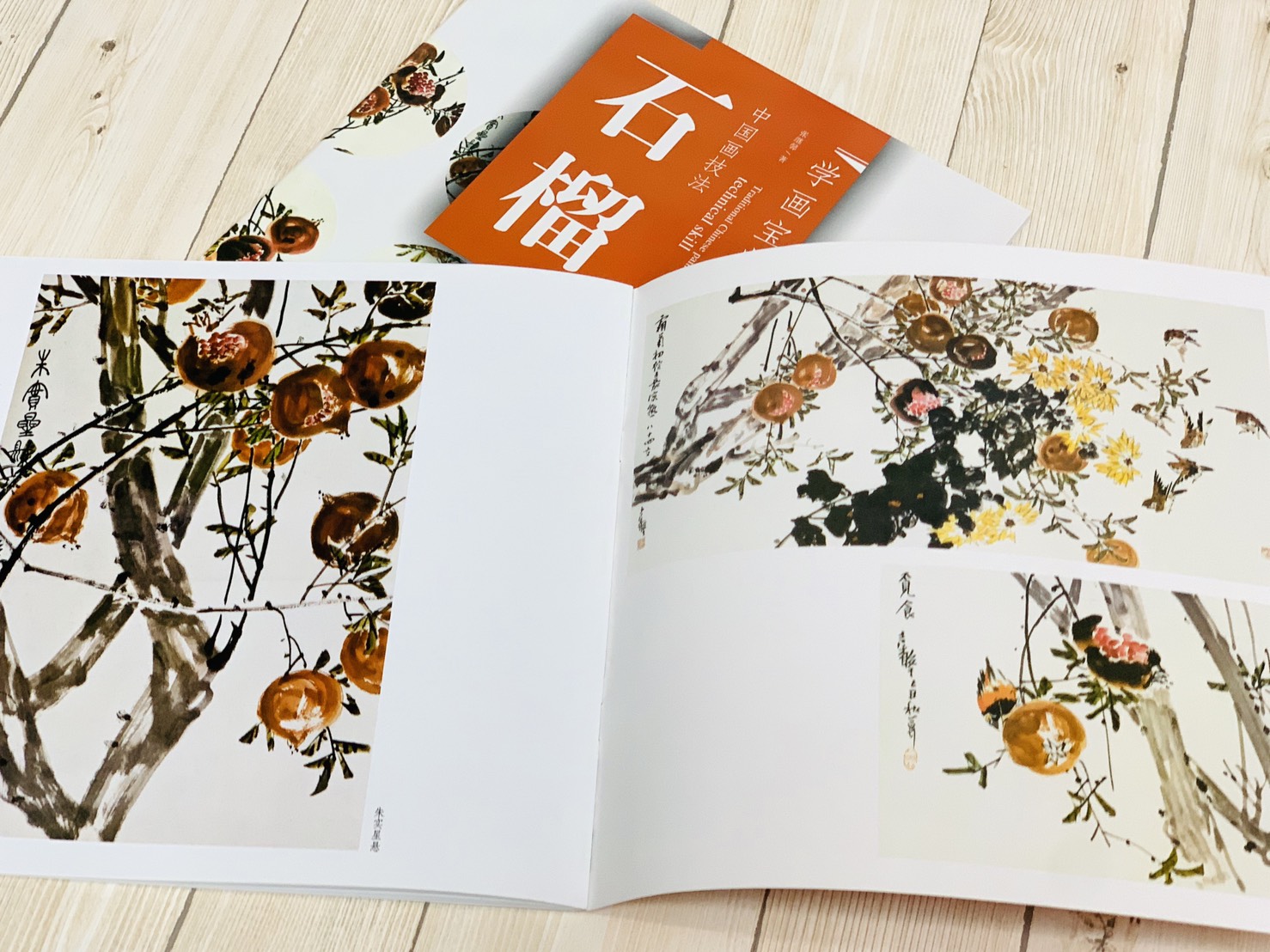 《學畫寶典 石榴 》中國畫技法 福建美術出版社 寫意 國畫 