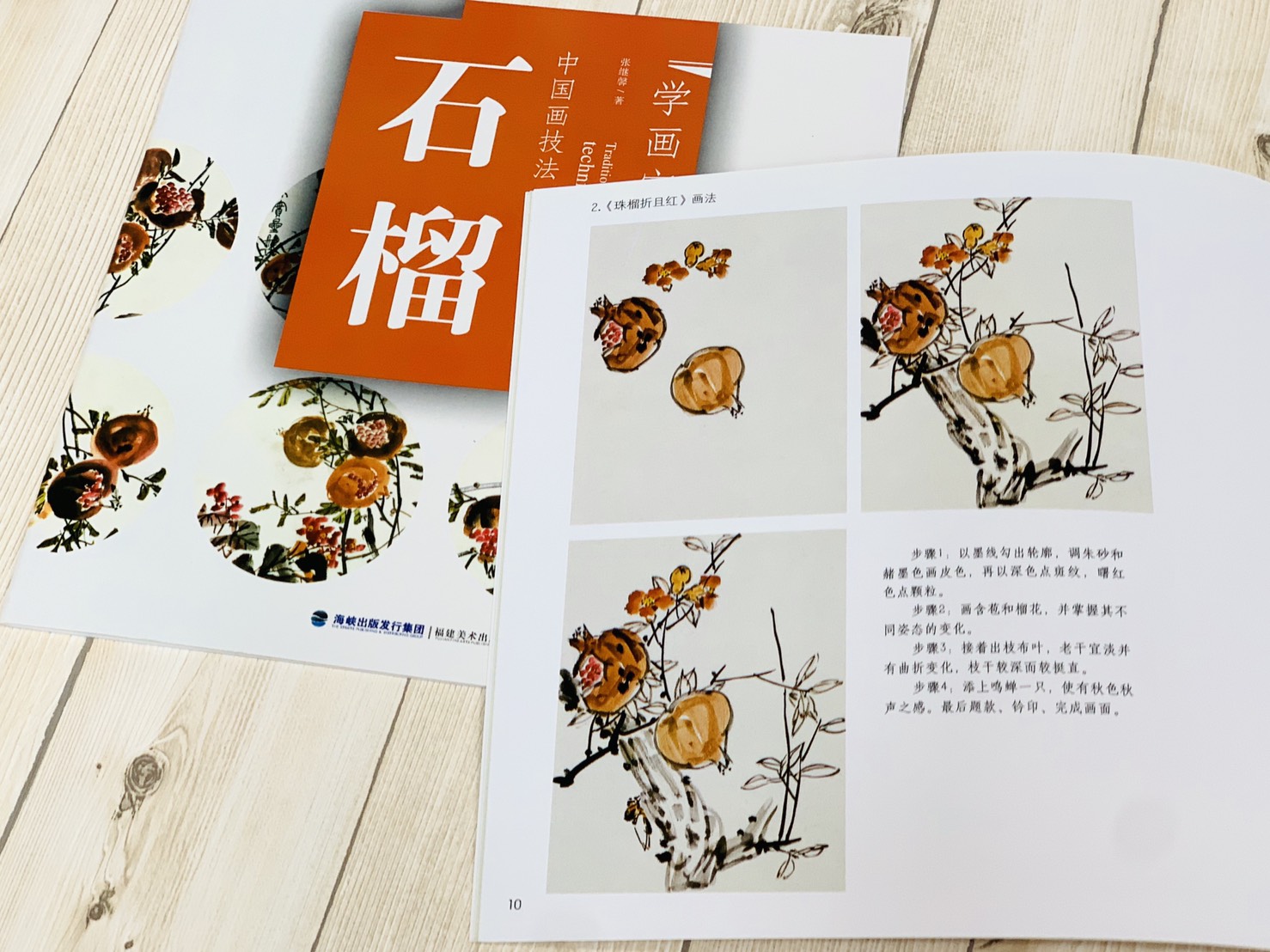《學畫寶典 石榴 》中國畫技法 福建美術出版社 寫意 國畫 
