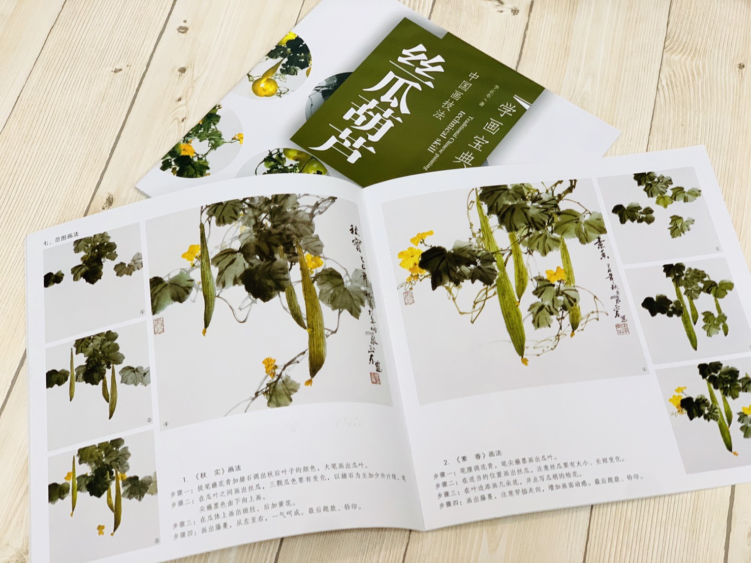 《學畫寶典 絲瓜.葫蘆 》中國畫技法 福建美術出版社 寫意 國畫 
