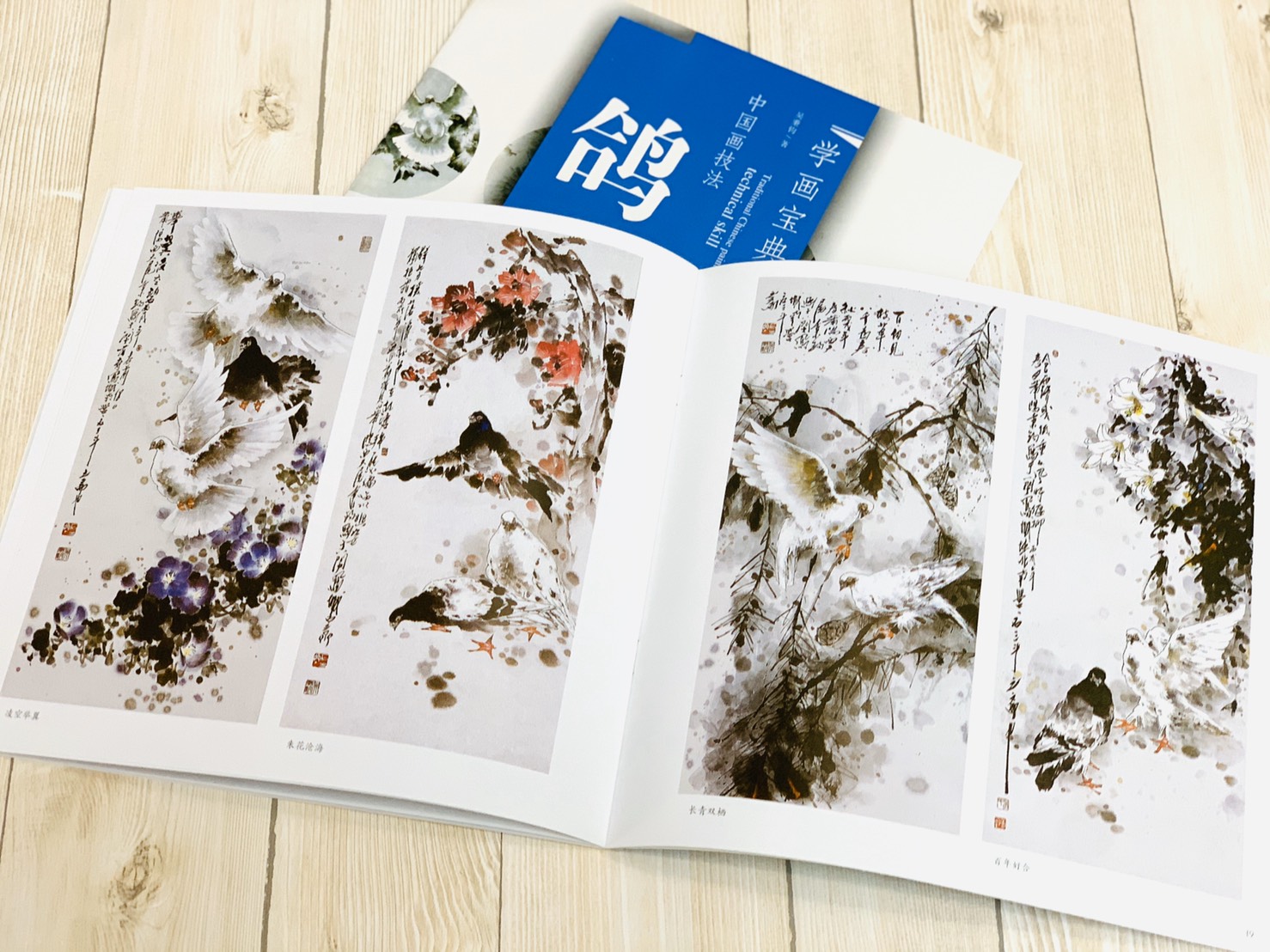 《學畫寶典 鴿 》中國畫技法 福建美術出版社 寫意 國畫 
