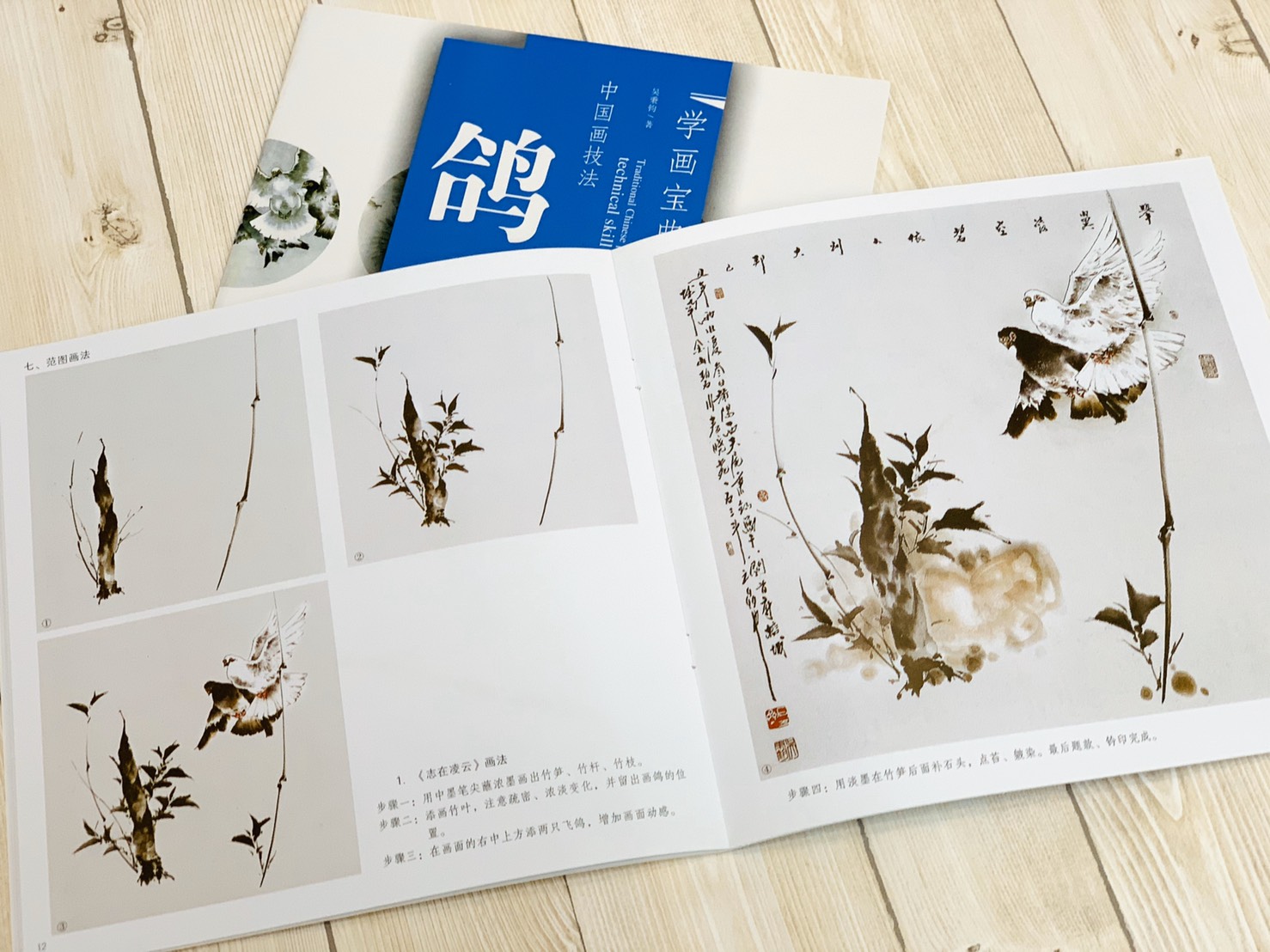 《學畫寶典 鴿 》中國畫技法 福建美術出版社 寫意 國畫 