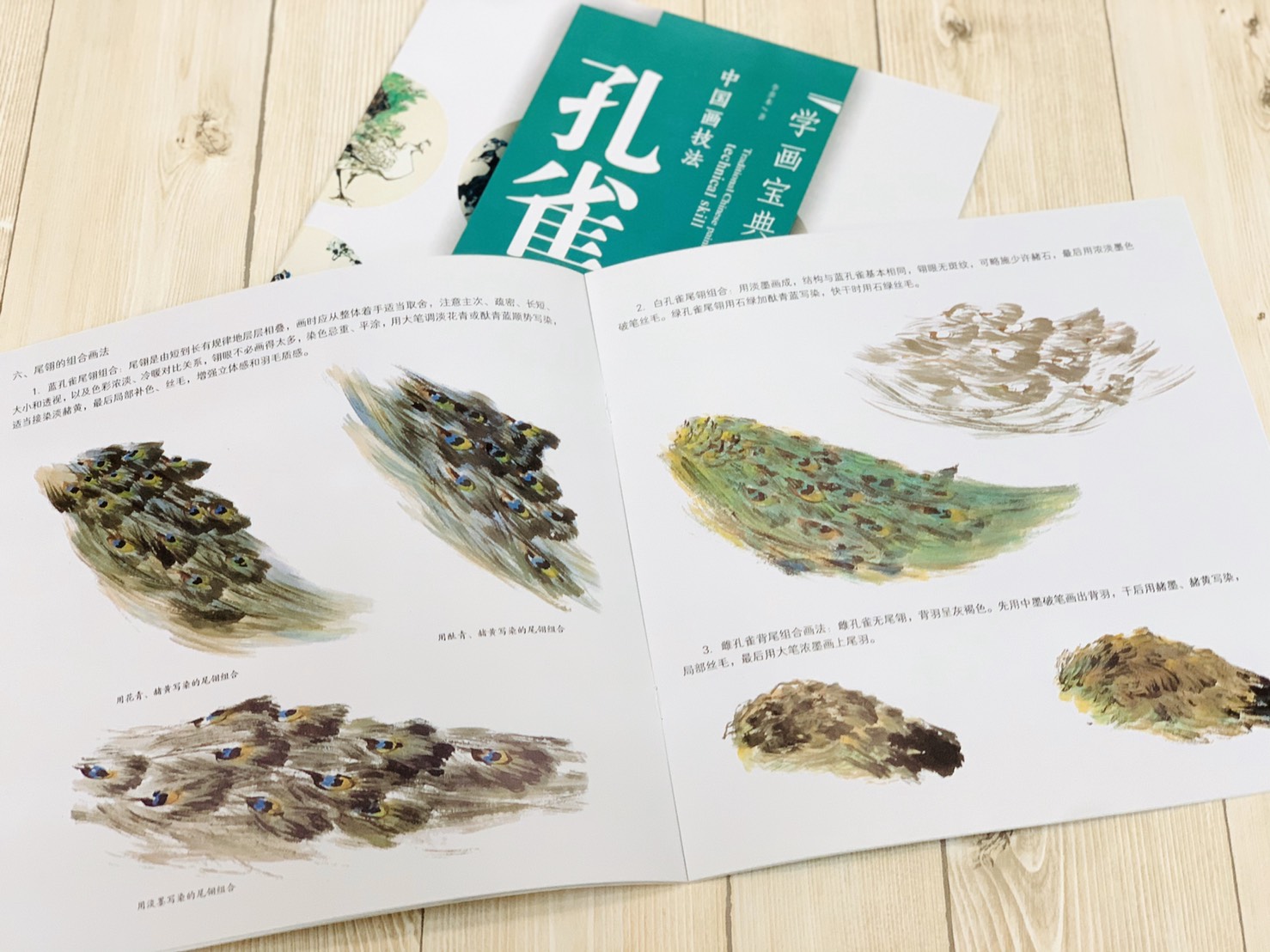 《學畫寶典 孔雀》中國畫技法 福建美術出版社 寫意 國畫 