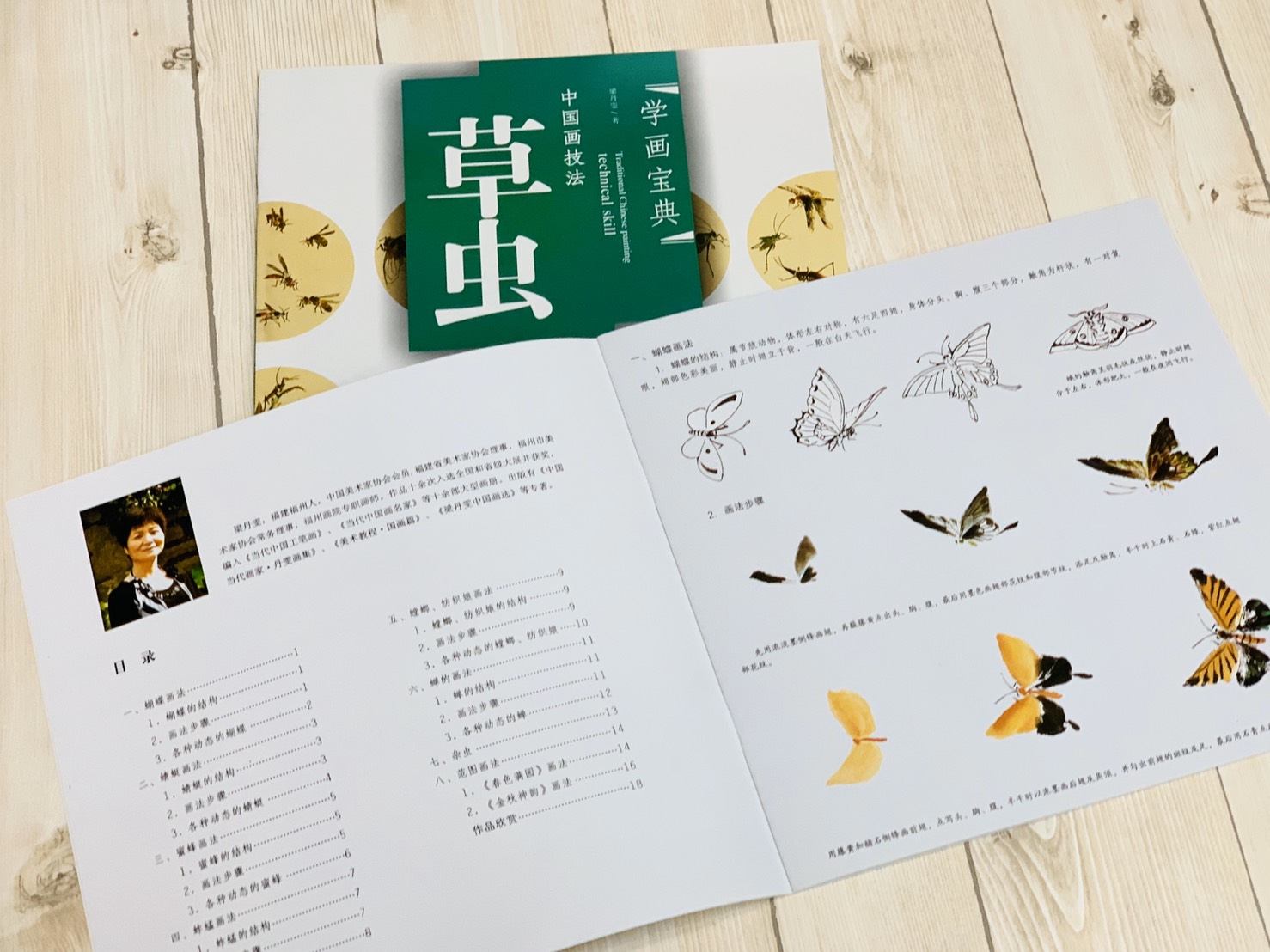 《學畫寶典 草蟲》中國畫技法 福建美術出版社 寫意 國畫 