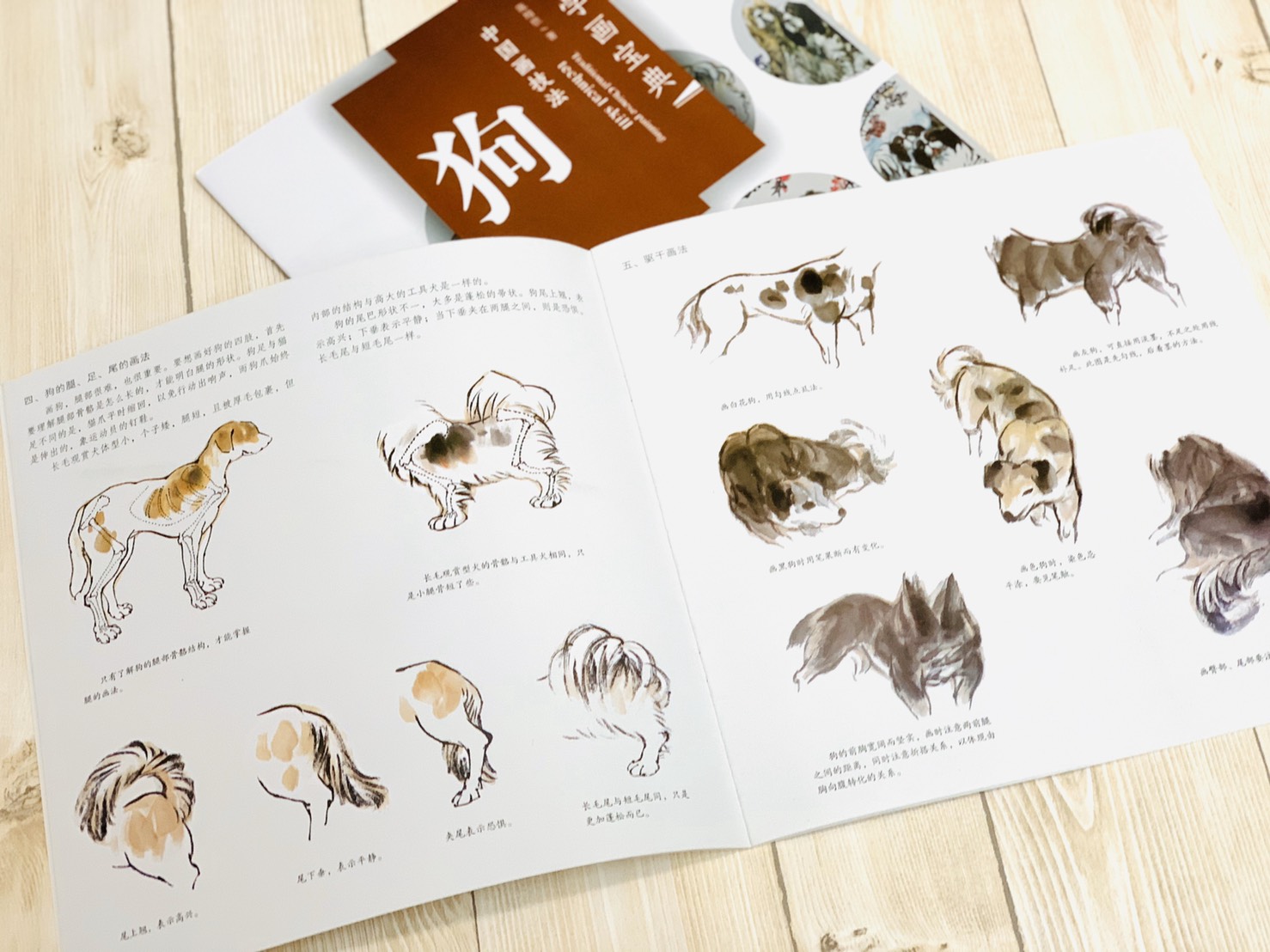 《學畫寶典 狗》中國畫技法 福建美術出版社 寫意 國畫 