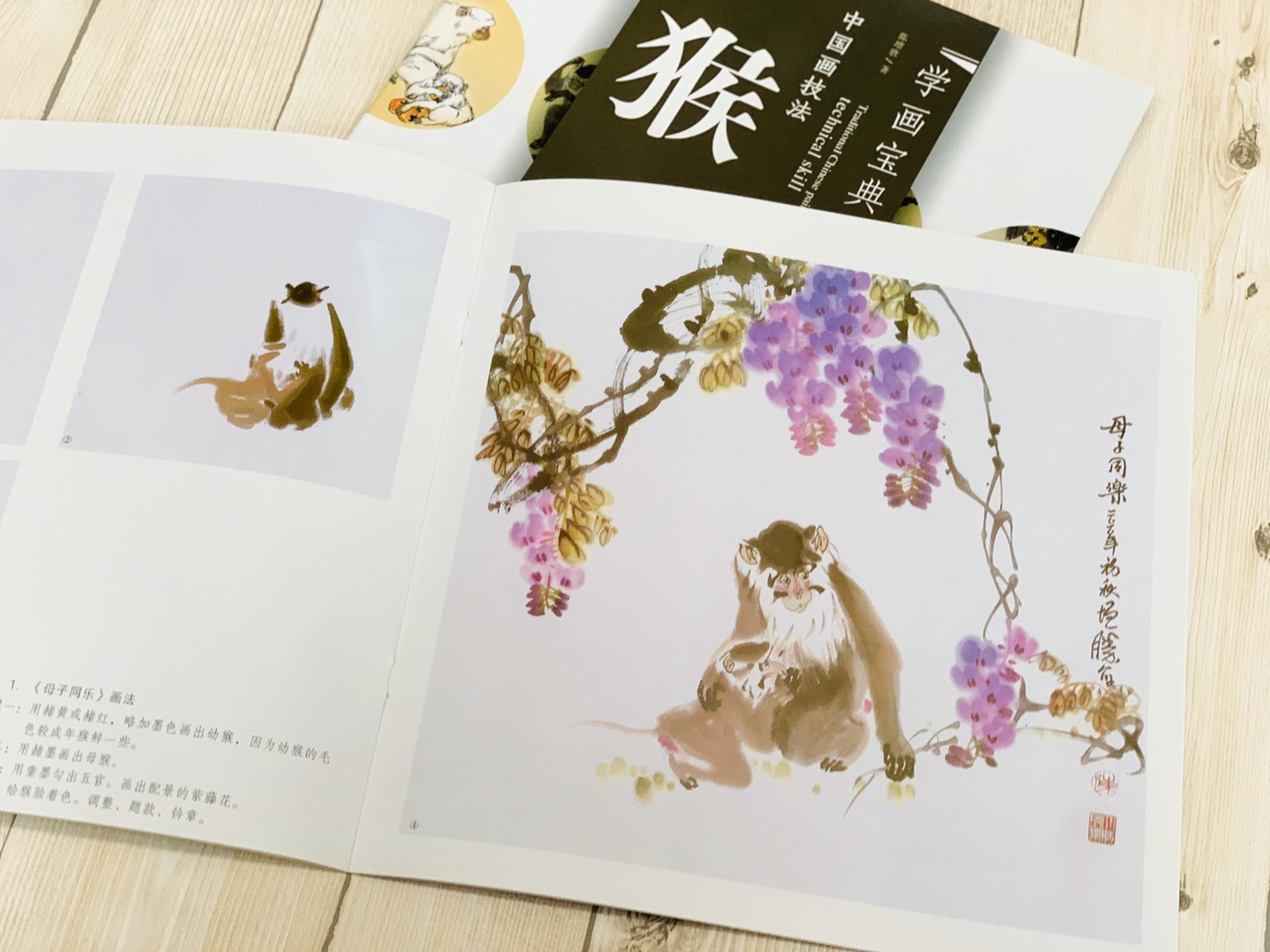 《學畫寶典 猴 》中國畫技法 福建美術出版社 寫意 國畫 