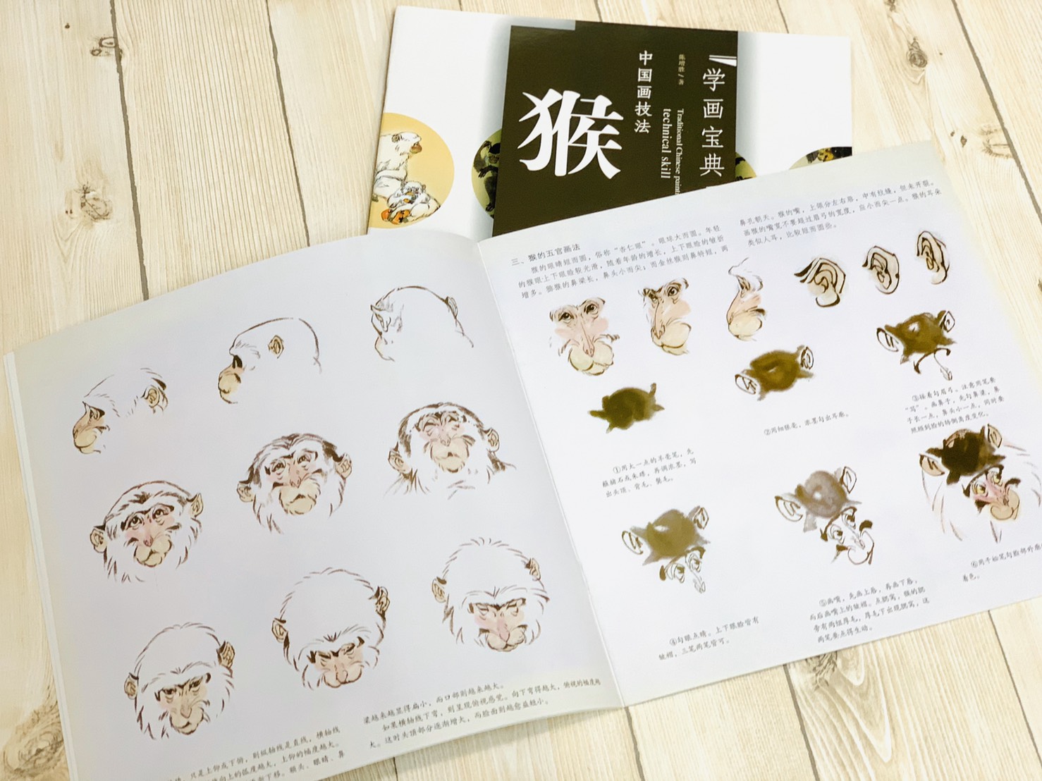 《學畫寶典 猴 》中國畫技法 福建美術出版社 寫意 國畫 