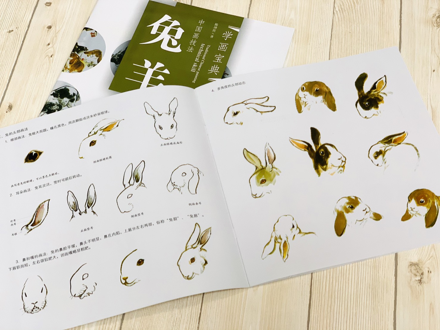 《學畫寶典 兔.羊》中國畫技法 福建美術出版社 寫意 國畫 