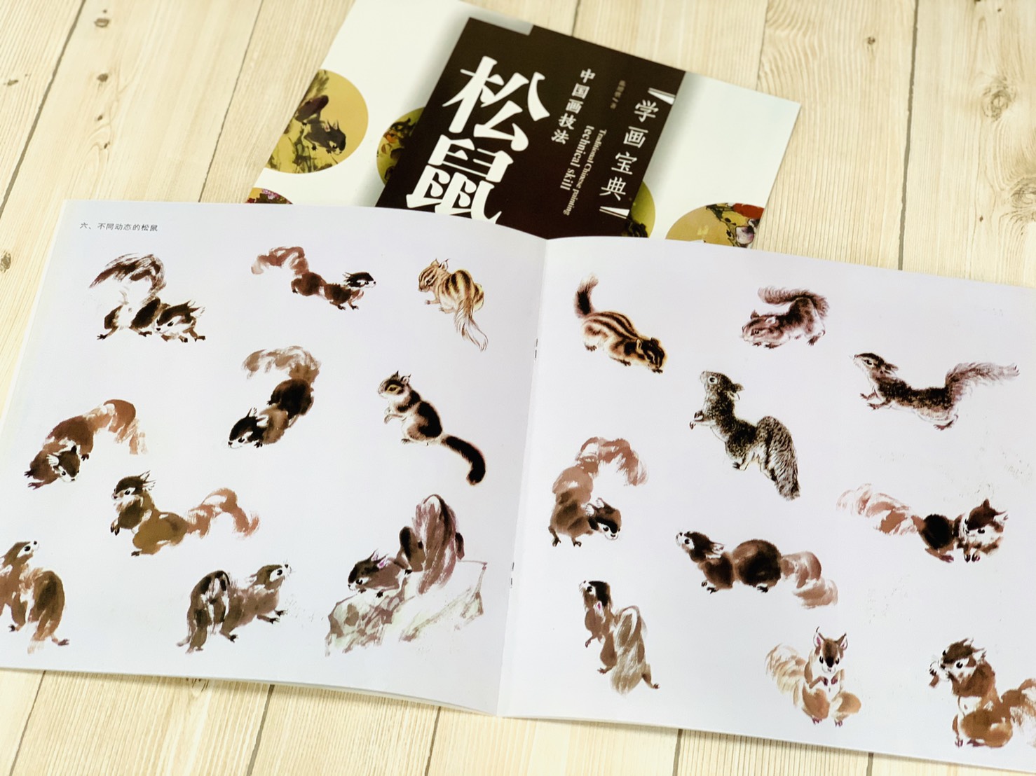 《學畫寶典 松鼠 》中國畫技法 福建美術出版社 寫意 國畫 