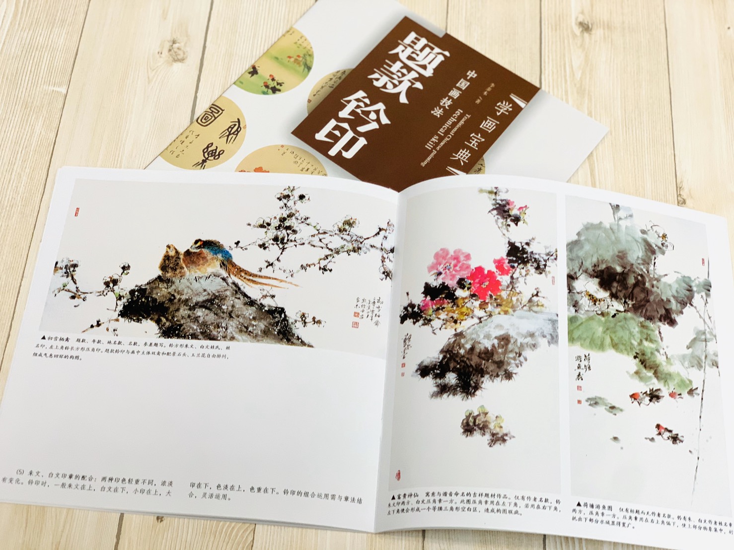 《學畫寶典 題款.鈴印》中國畫技法 福建美術出版社 寫意 國畫 