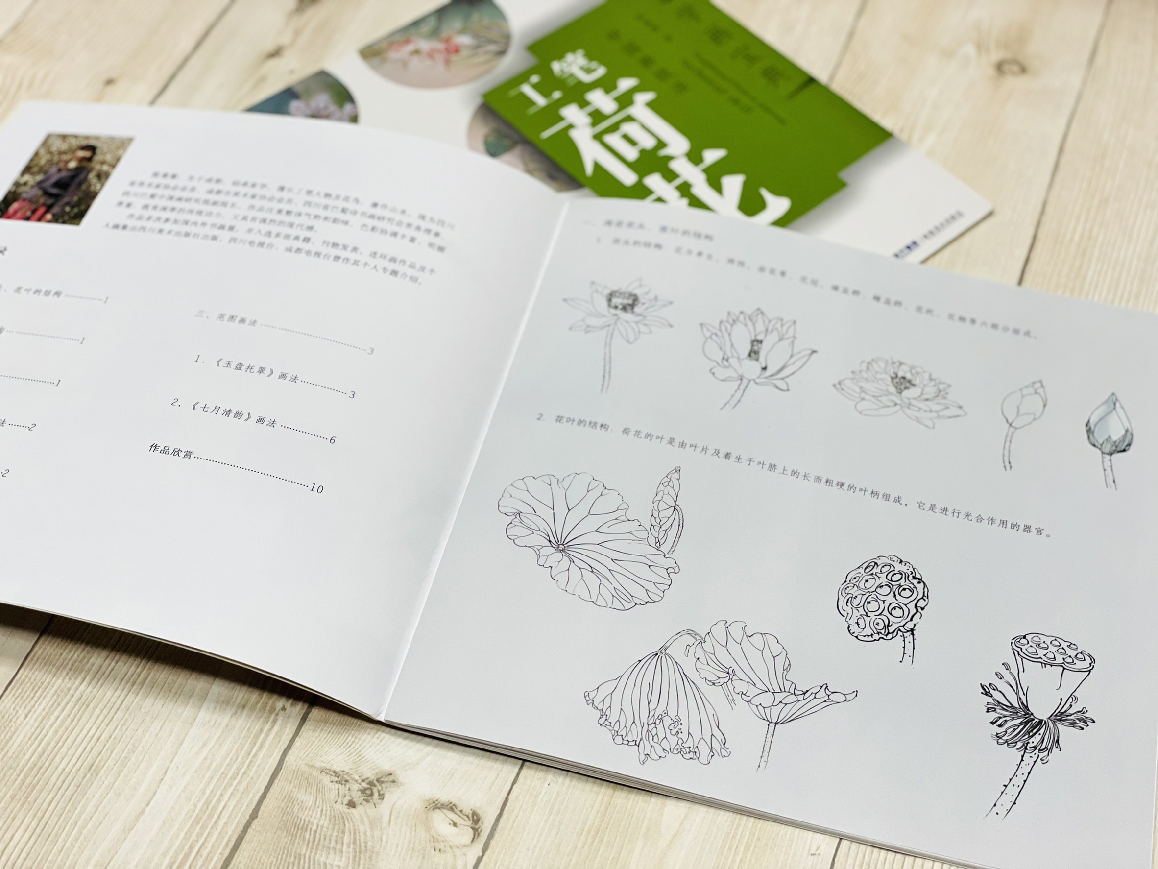 《學畫寶典 工筆荷花》中國畫技法 福建美術出版社 工筆 國畫 