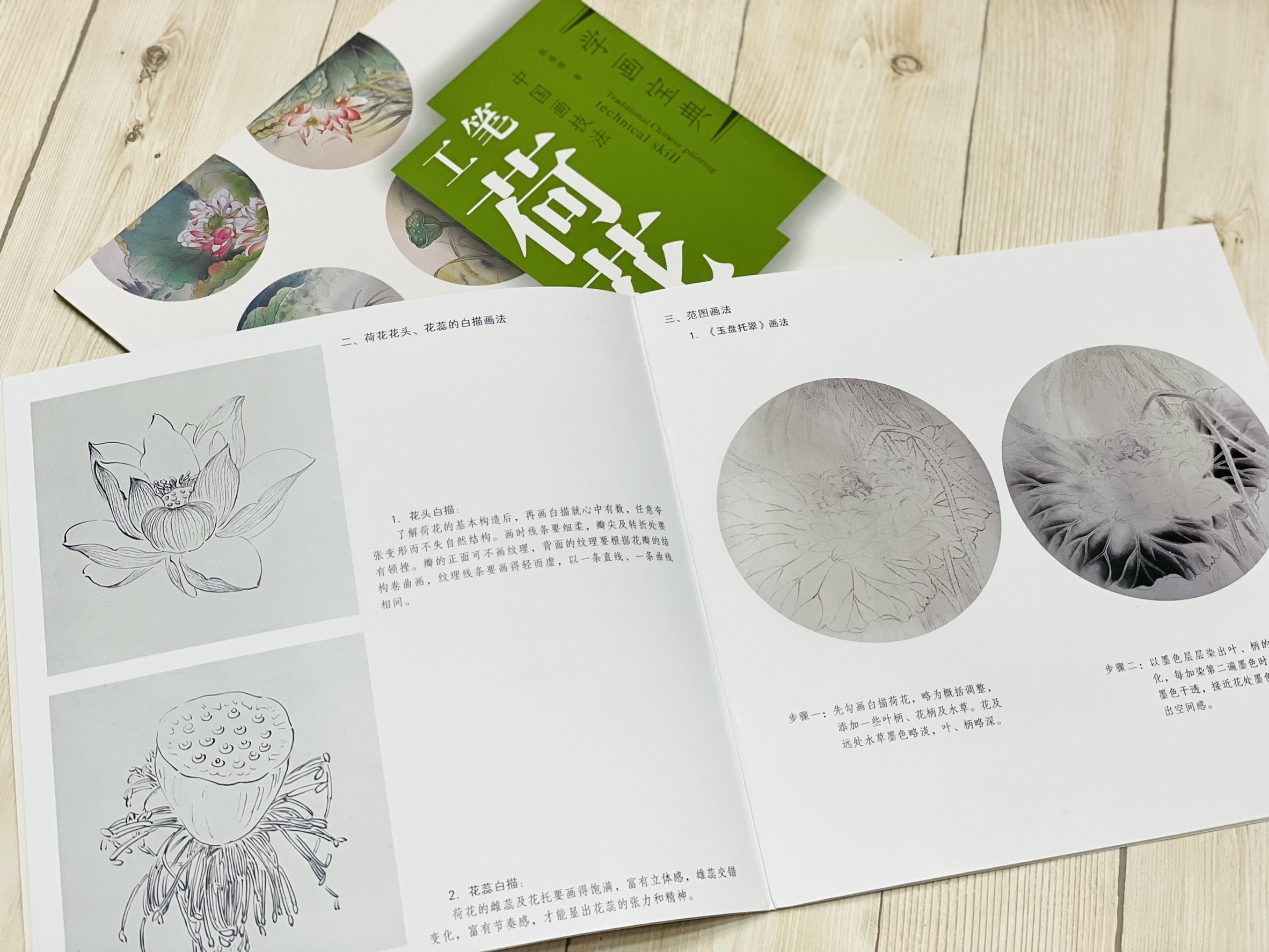 《學畫寶典 工筆荷花》中國畫技法 福建美術出版社 工筆 國畫 