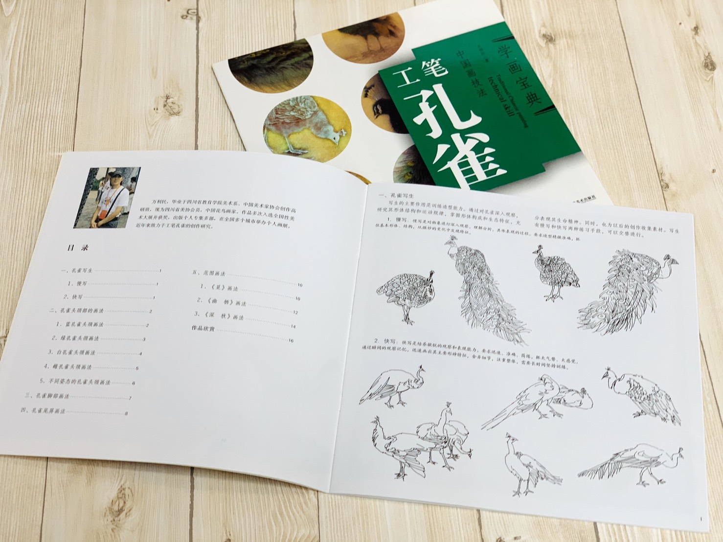 《學畫寶典 工筆孔雀》中國畫技法 福建美術出版社 工筆 國畫 