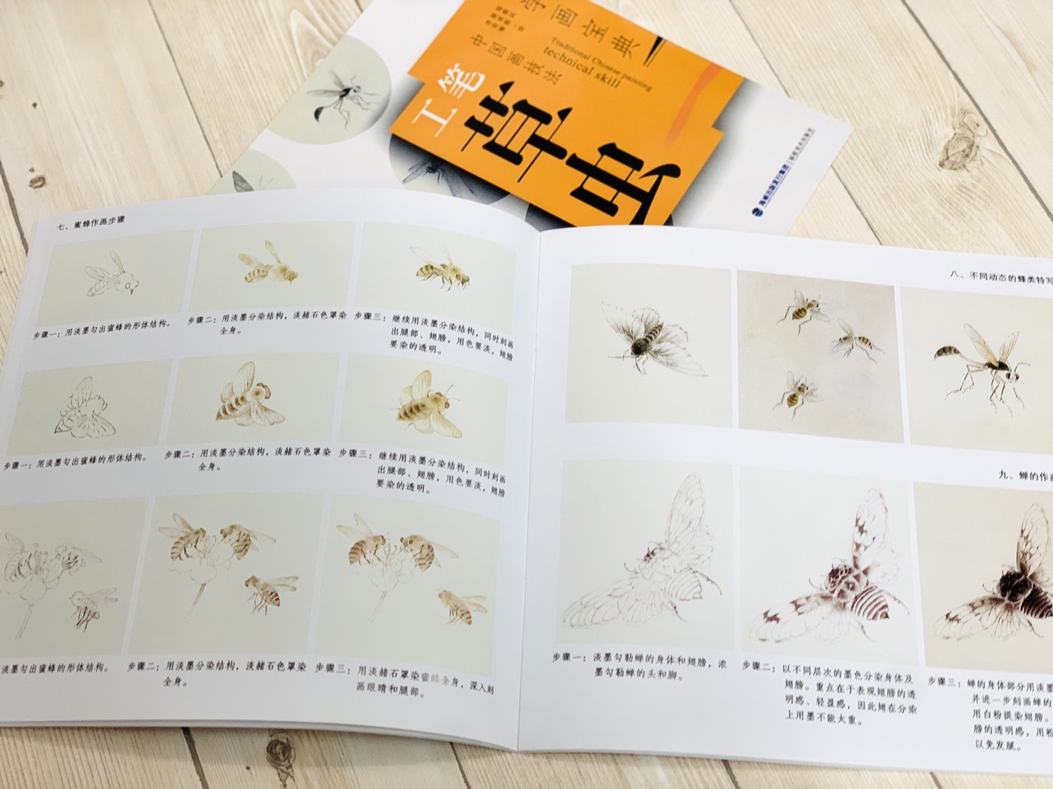 《學畫寶典 工筆草蟲》中國畫技法 福建美術出版社 寫意 國畫 