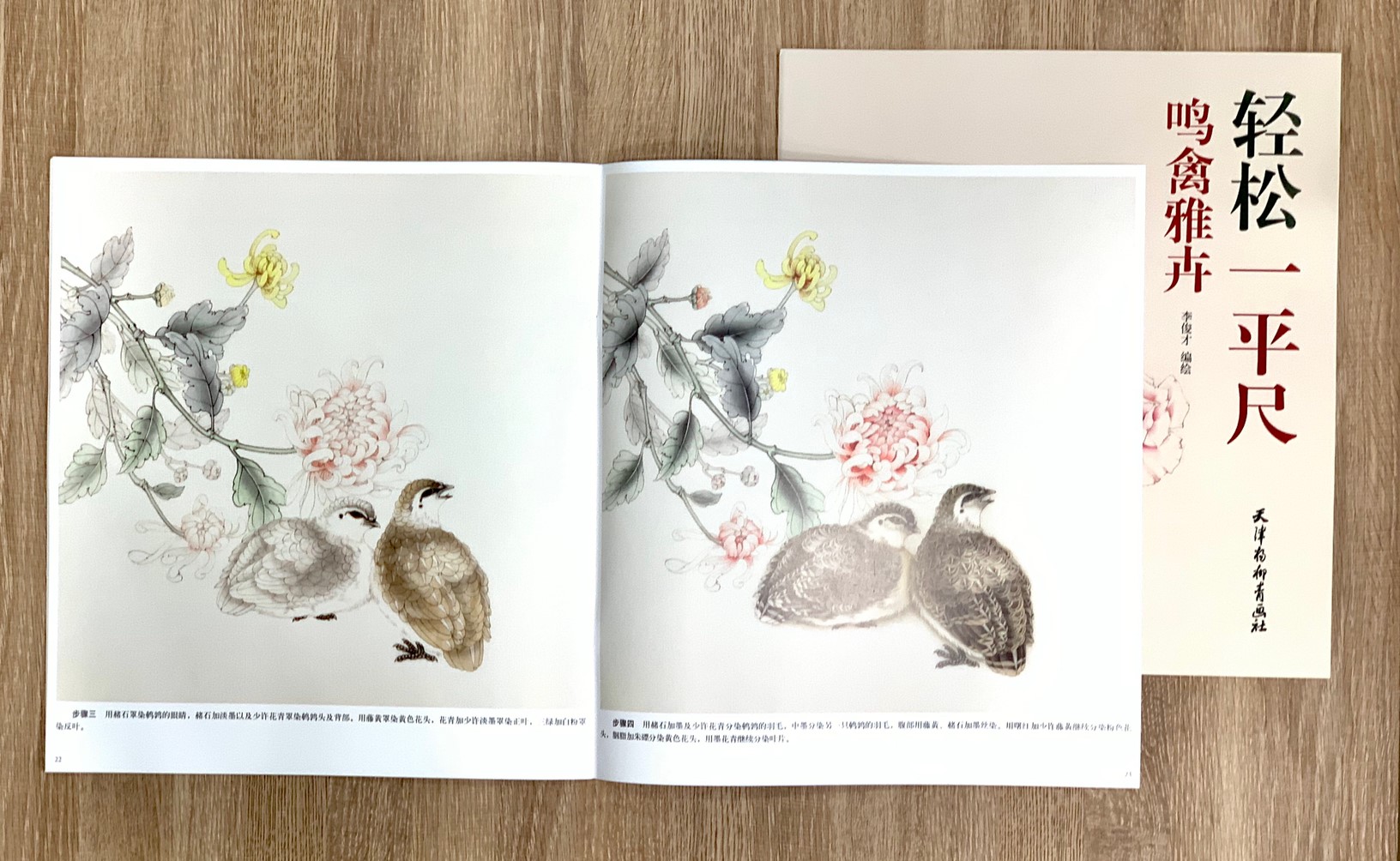《鳴禽雅卉》 輕鬆一平尺 李俊才 編繪 天津楊柳青畫社