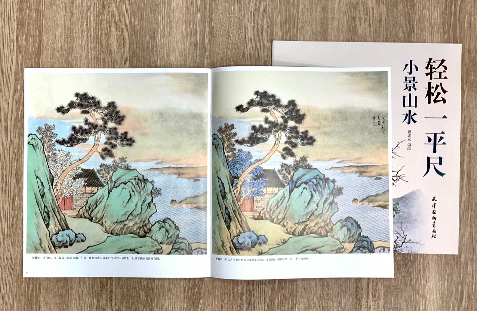 《小景山水》 輕鬆一平尺 賈志發 編繪 天津楊柳青畫社
