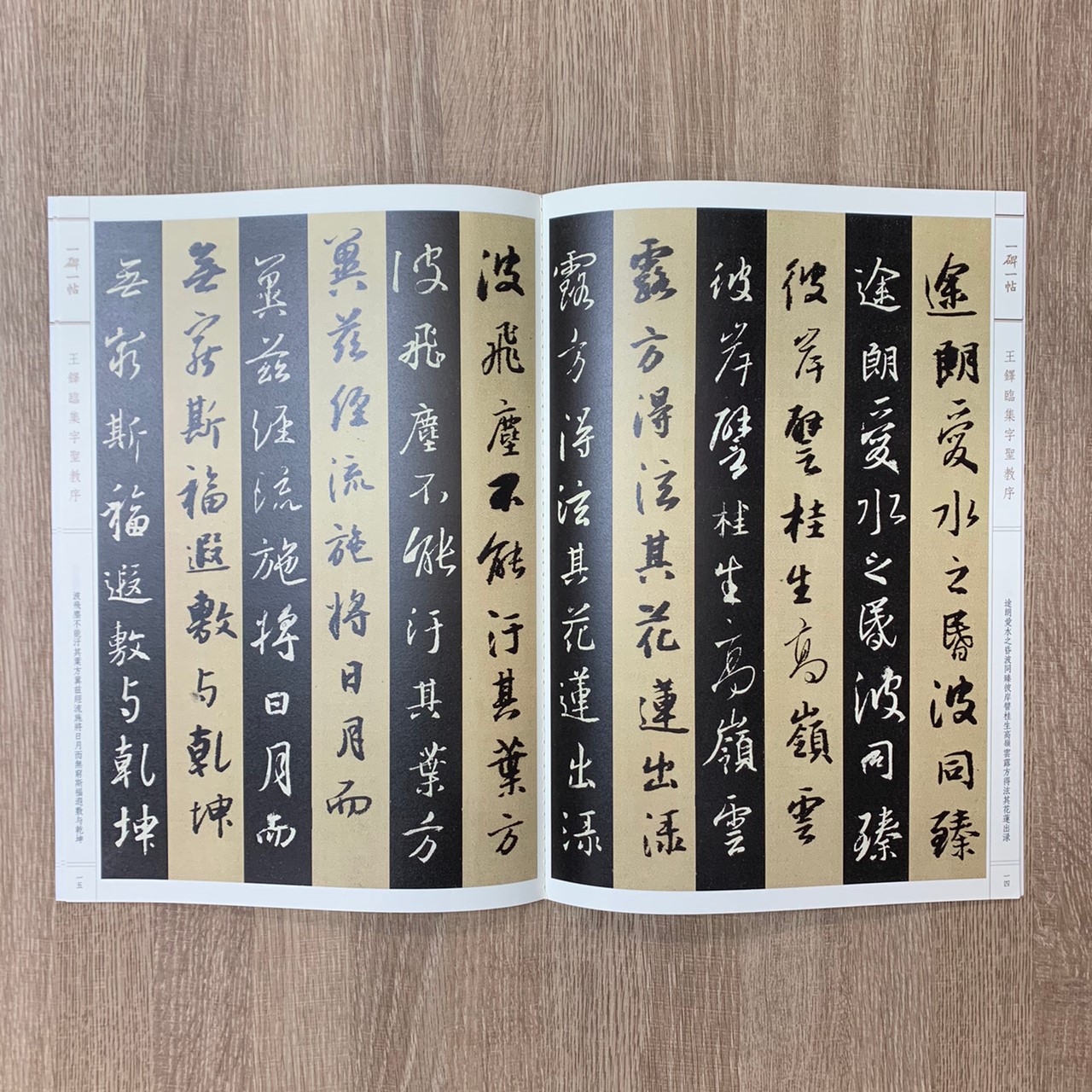 《王鐸臨興福寺碑》一碑一帖  孫寶文 編 上海辭書出版社 王鐸 興福寺碑