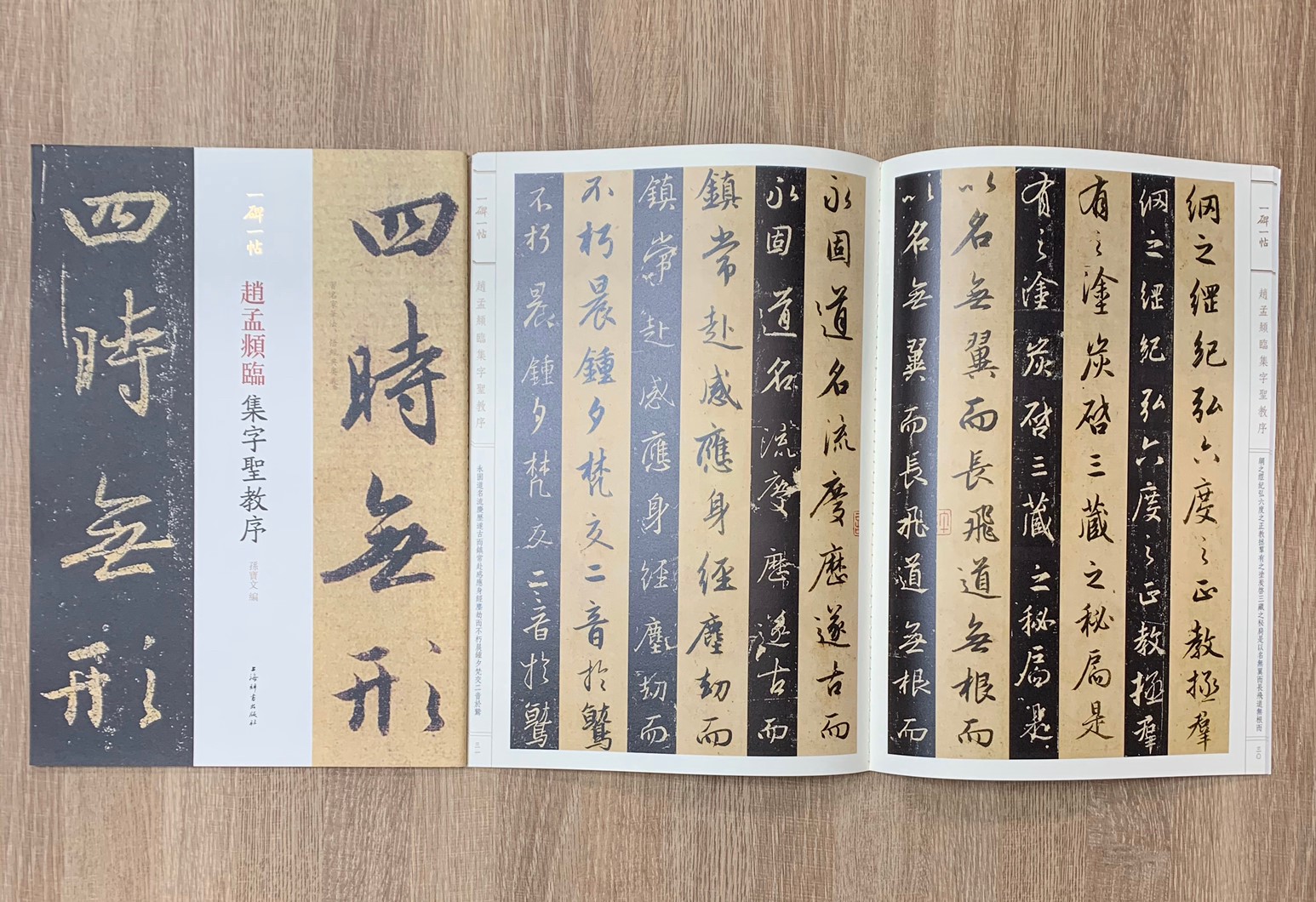 《趙孟頫臨集字聖教序》 一碑一帖  孫寶文 上海辭書出版社
