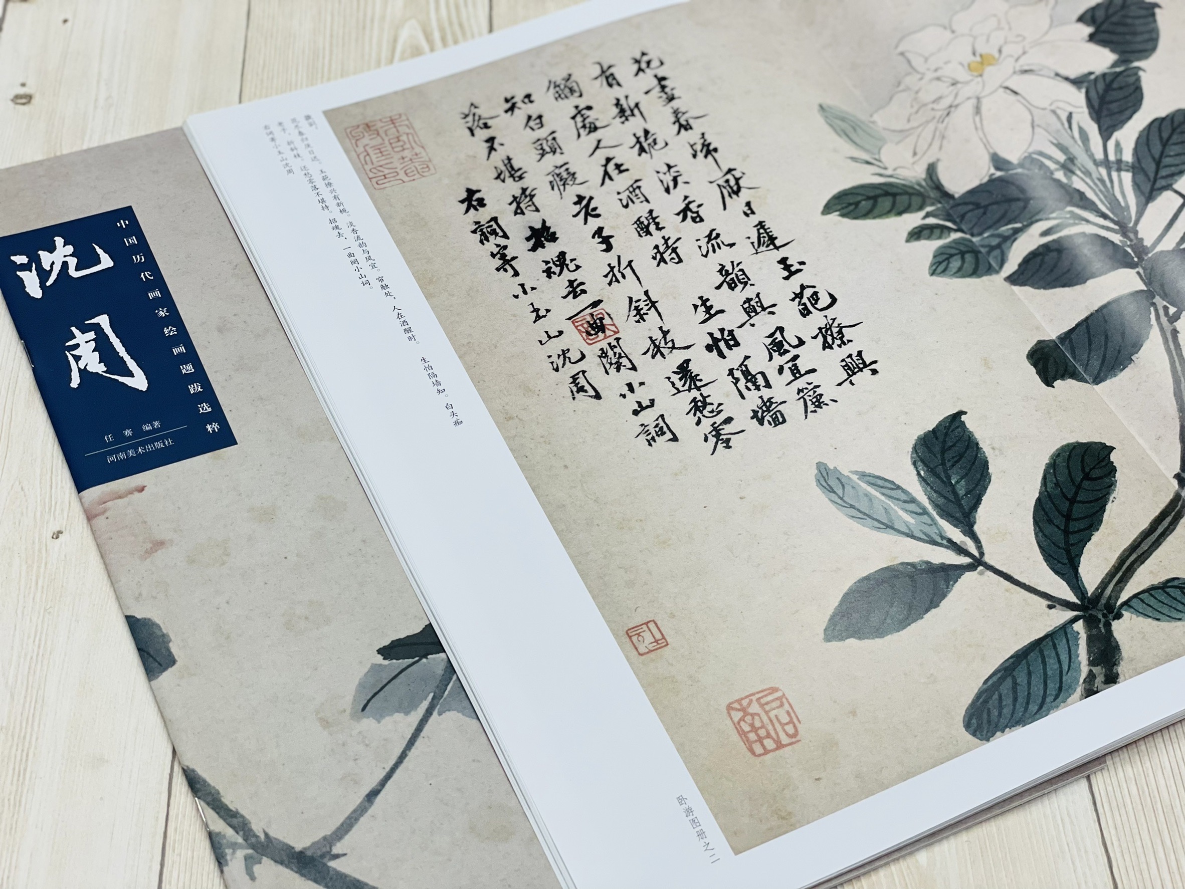 《沈周 中國歷代畫家繪畫題跋選粹》 河南美術出版社
