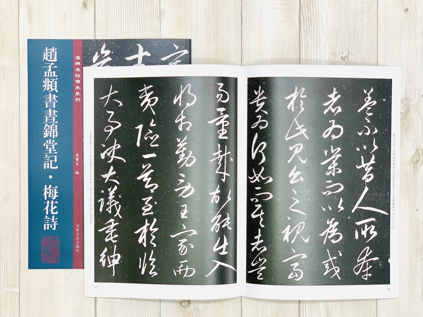 《趙孟頫書晝錦堂記·梅花詩》 名碑名帖傳承 孫寶文 編 吉林文史出版社