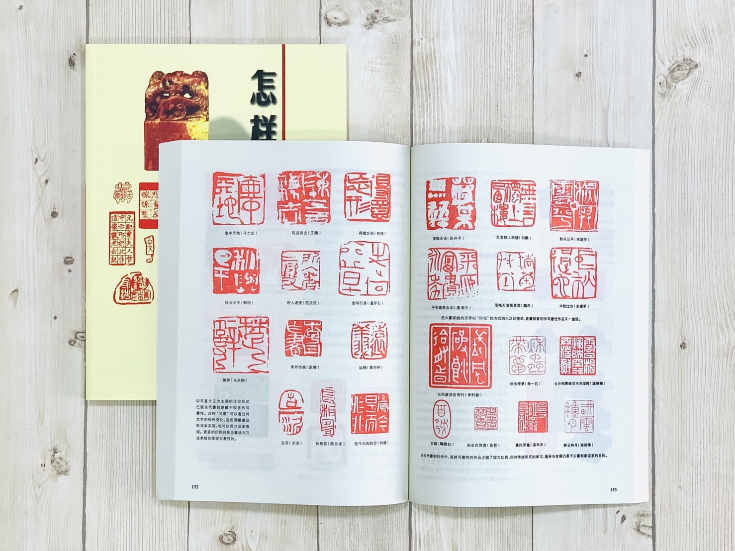 《怎樣學篆刻》王本興 著