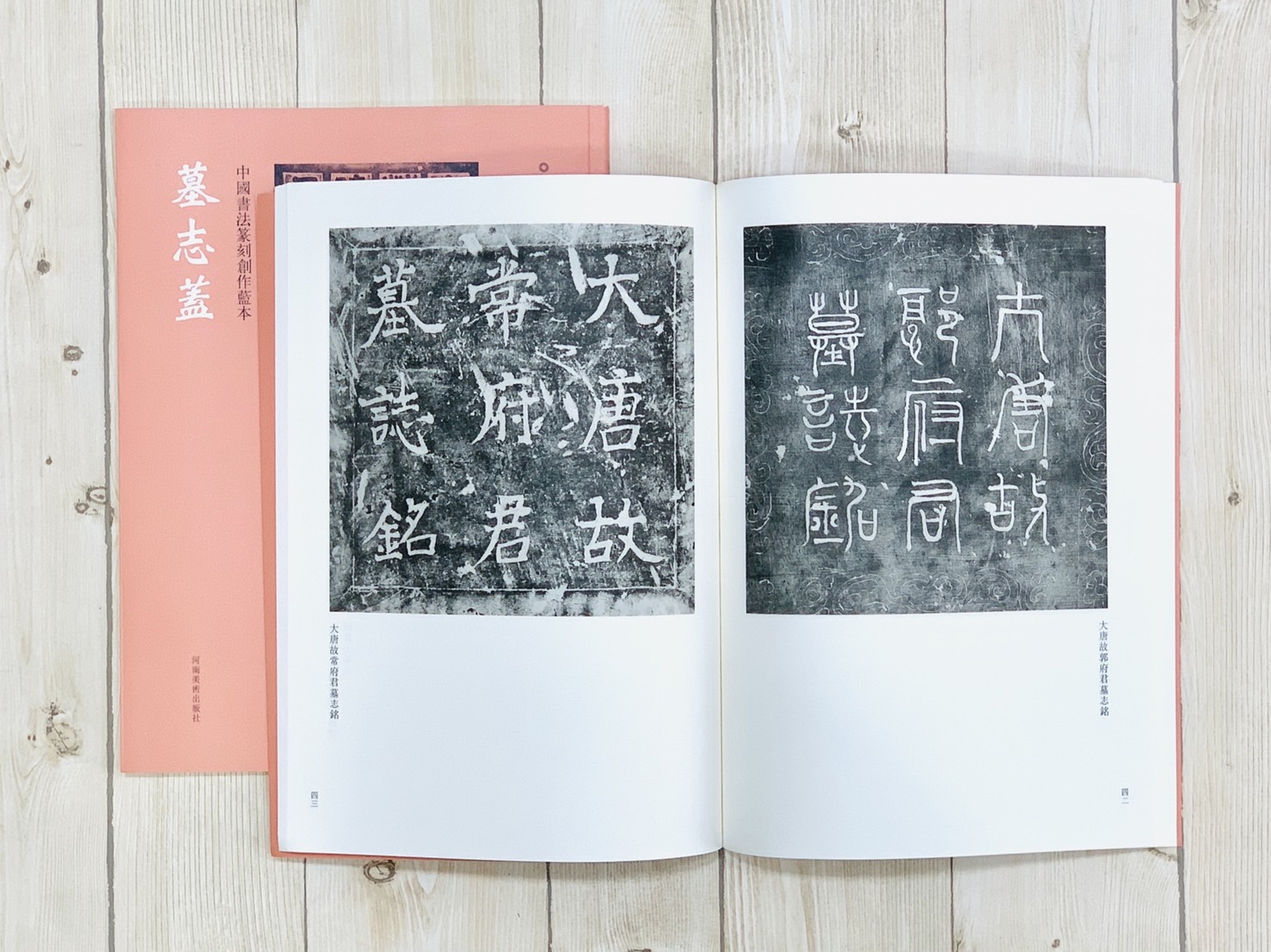 《墓志蓋》中國書法篆刻創作藍本 張韜 編 河南美術出版社