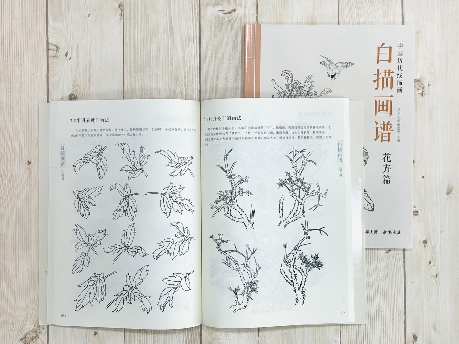 《白描畫譜 花卉篇》中國歷代線描畫 美學大師 中國書店