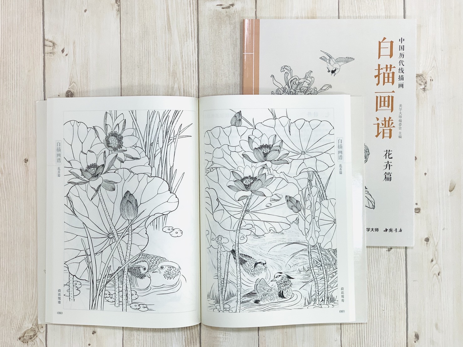 《白描畫譜 花卉篇》中國歷代線描畫 美學大師 中國書店