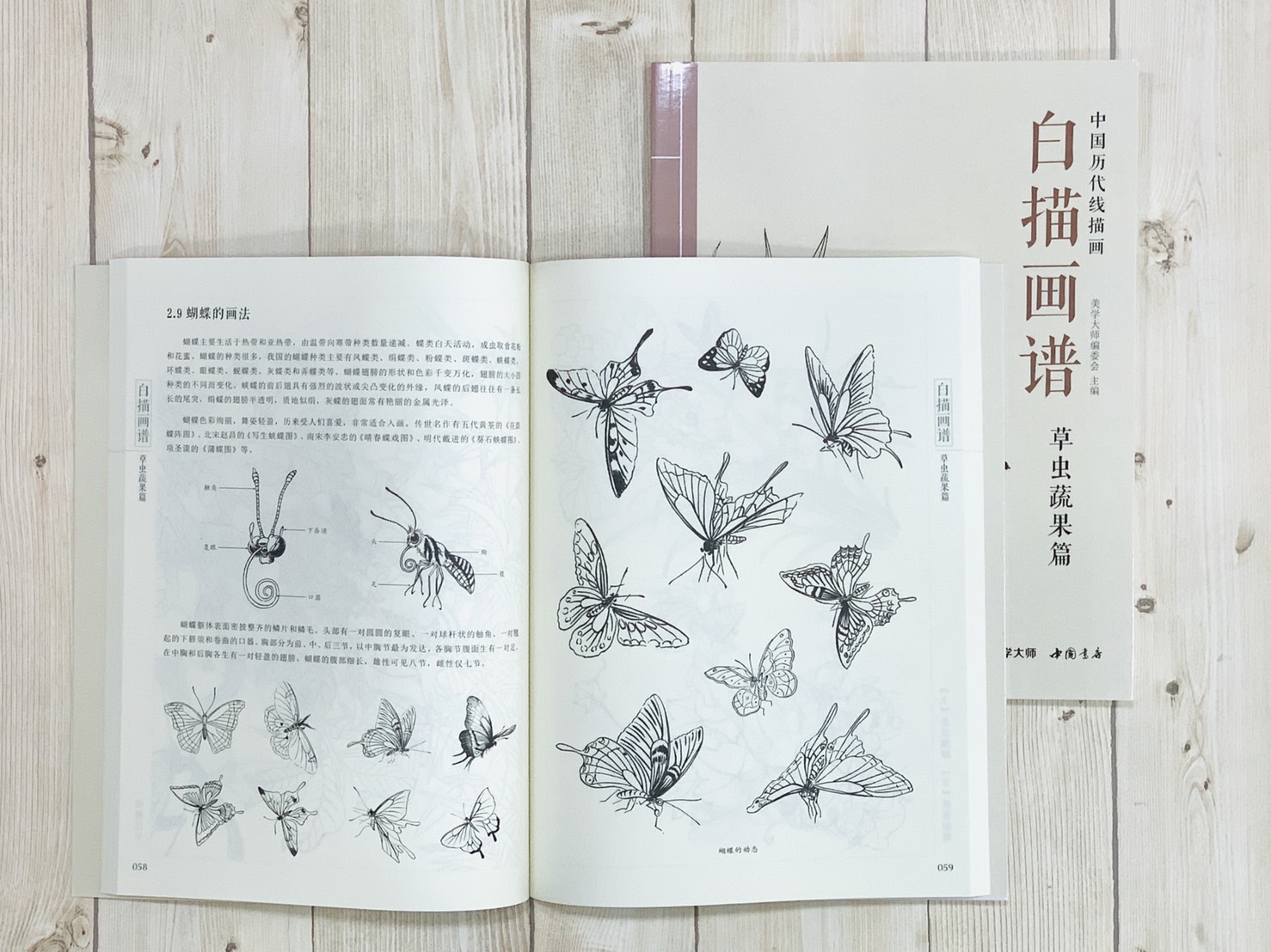 《白描畫譜 草蟲蔬果篇》中國歷代線描畫 美學大師 中國書店