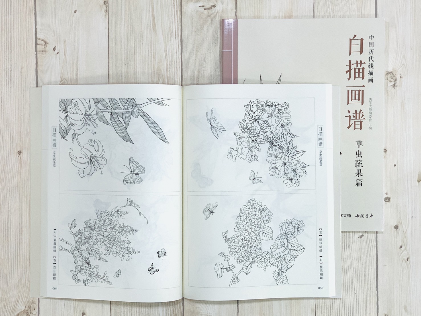 《白描畫譜 草蟲蔬果篇》中國歷代線描畫 美學大師 中國書店