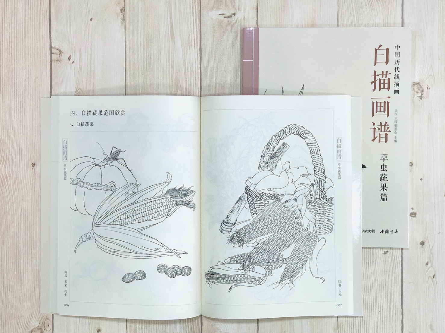 《白描畫譜 草蟲蔬果篇》中國歷代線描畫 美學大師 中國書店