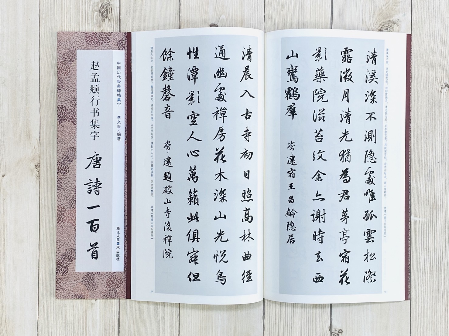 《趙孟頫行書集字 唐詩一百首》中國歷代經典碑帖集字（第一輯） 李文采編 浙江人民美術出版社