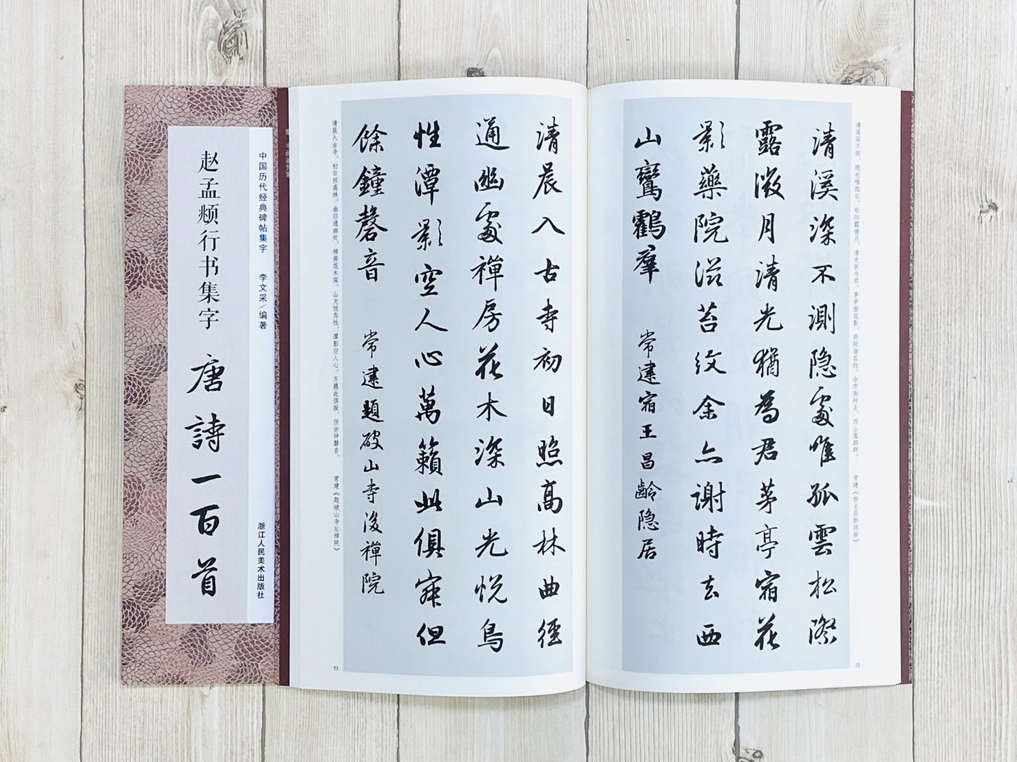 《趙孟頫行書集字 唐詩一百首》中國歷代經典碑帖集字（第一輯） 李文采編 浙江人民美術出版社
