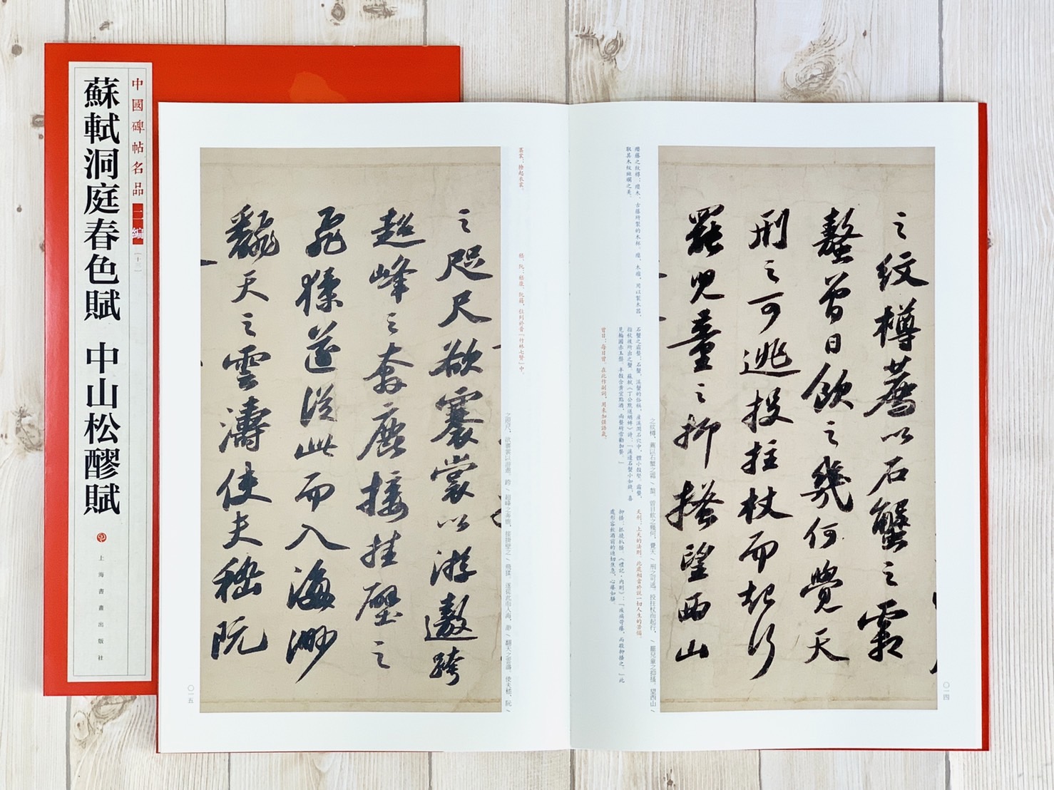 《蘇軾洞庭春色賦 中山松醪賦》13 中國碑帖名品 二編 上海書畫出版社