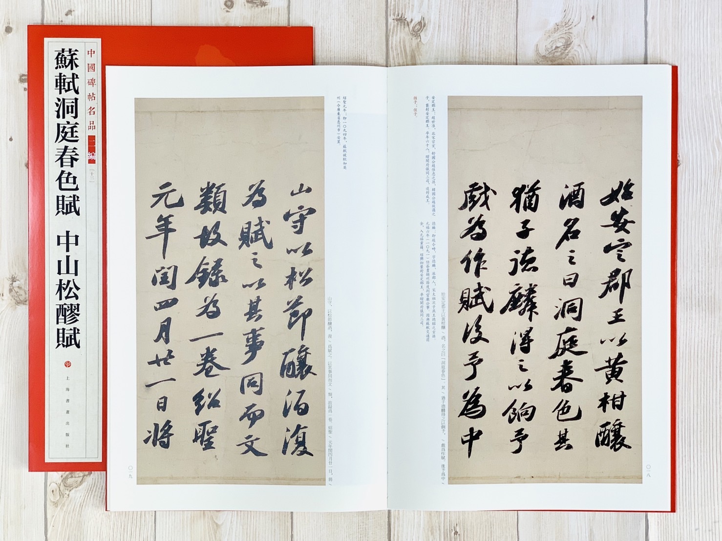 《蘇軾洞庭春色賦 中山松醪賦》13 中國碑帖名品 二編 上海書畫出版社
