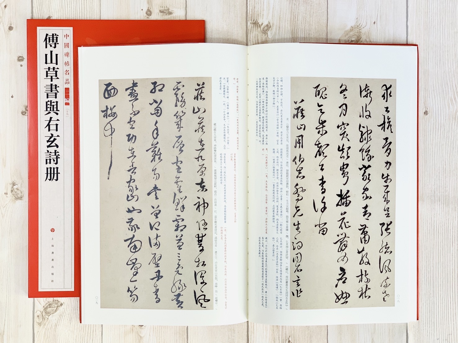 《傅山草書與右玄詩冊》19 中國碑帖名品 二編 上海書畫出版社