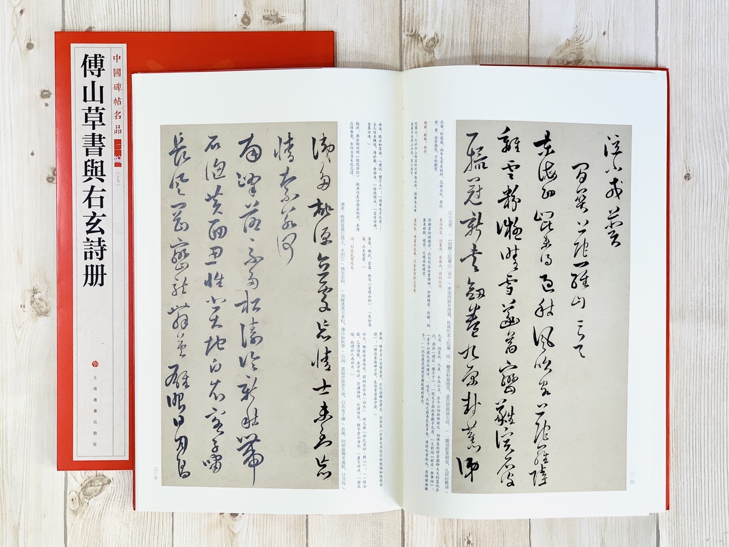 《傅山草書與右玄詩冊》19 中國碑帖名品 二編 上海書畫出版社