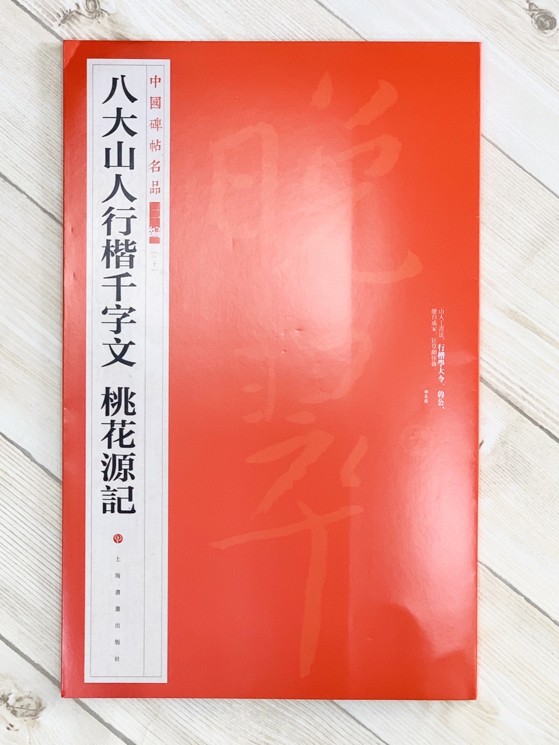 《八大山人行楷千字文 桃花源記》20 中國碑帖名品 二編 上海書畫出版社