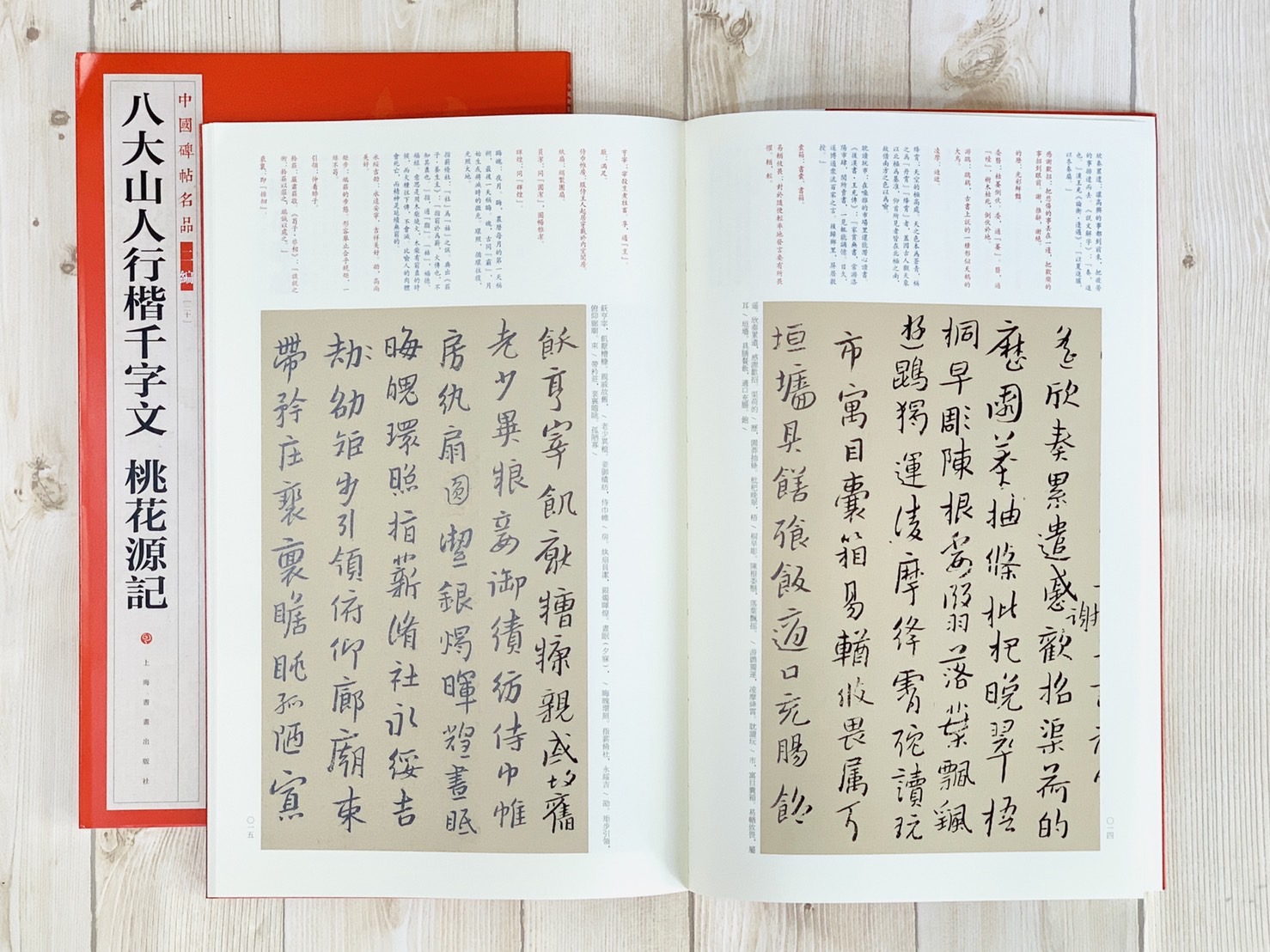 《八大山人行楷千字文 桃花源記》20 中國碑帖名品 二編 上海書畫出版社