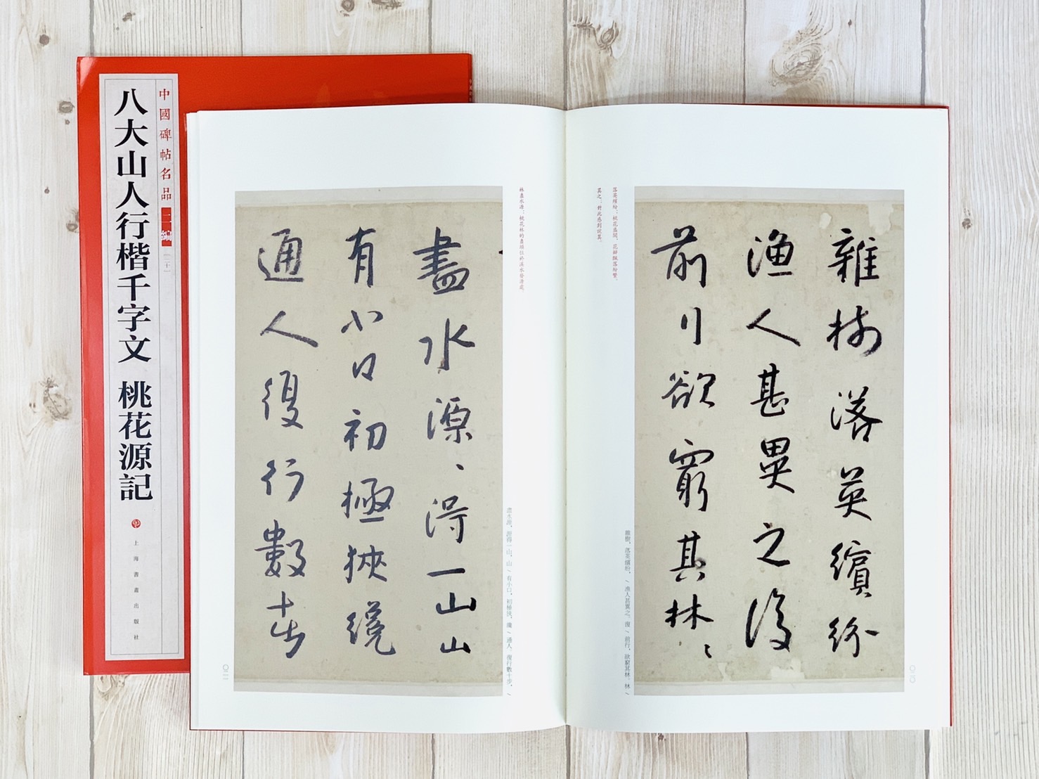《八大山人行楷千字文 桃花源記》20 中國碑帖名品 二編 上海書畫出版社