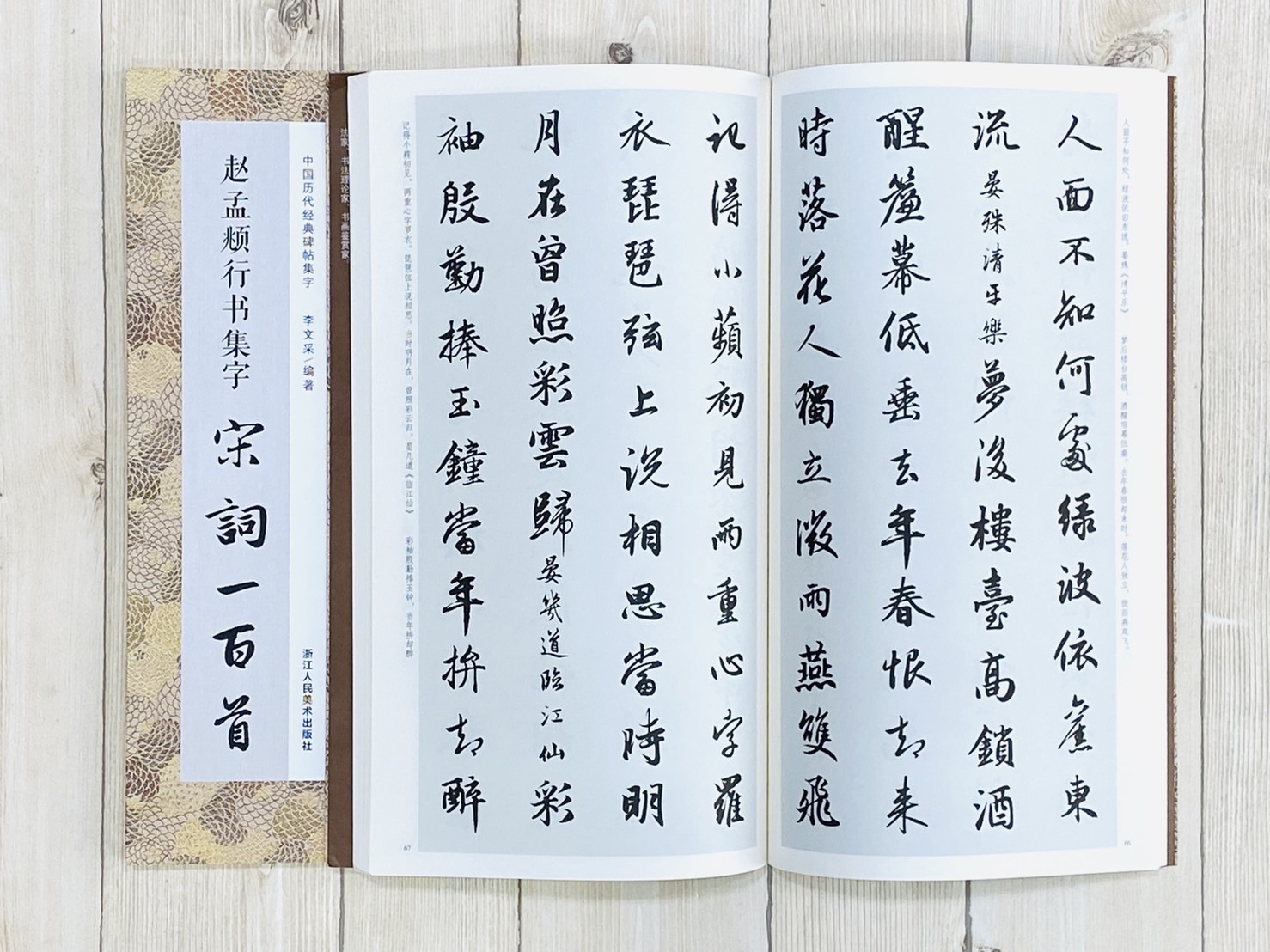 《趙孟頫行書集字 宋詞一百首》中國歷代經典碑帖集字（第二輯） 浙江人民美術出版社