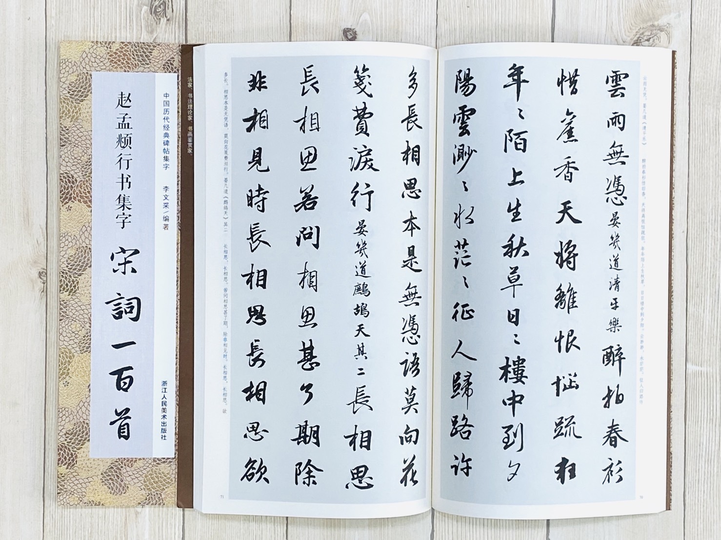 《趙孟頫行書集字 宋詞一百首》中國歷代經典碑帖集字（第二輯） 浙江人民美術出版社