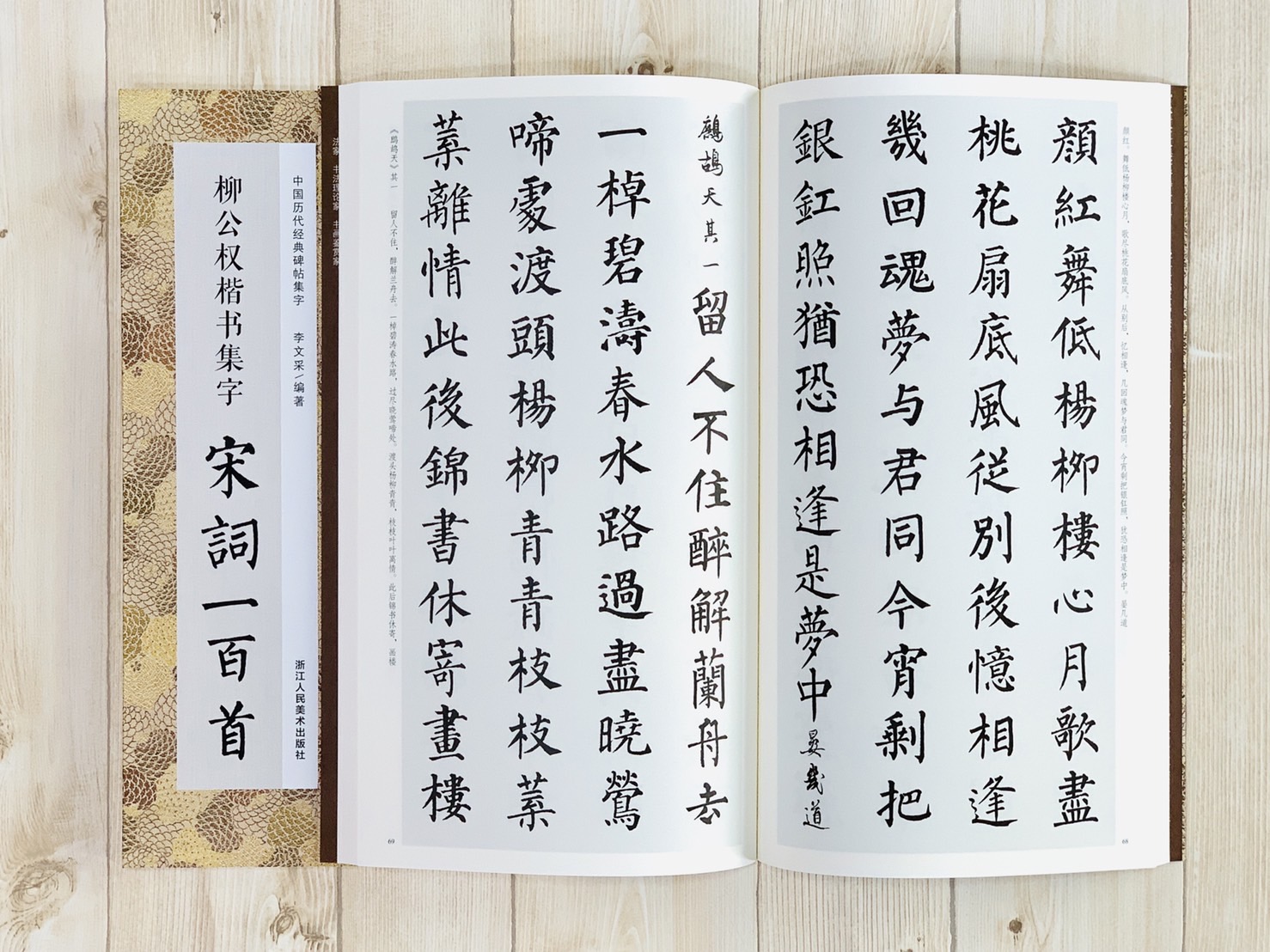 《柳公權楷書集字 宋詞一百首》中國歷代經典碑帖集字（第二輯） 浙江人民美術出版社