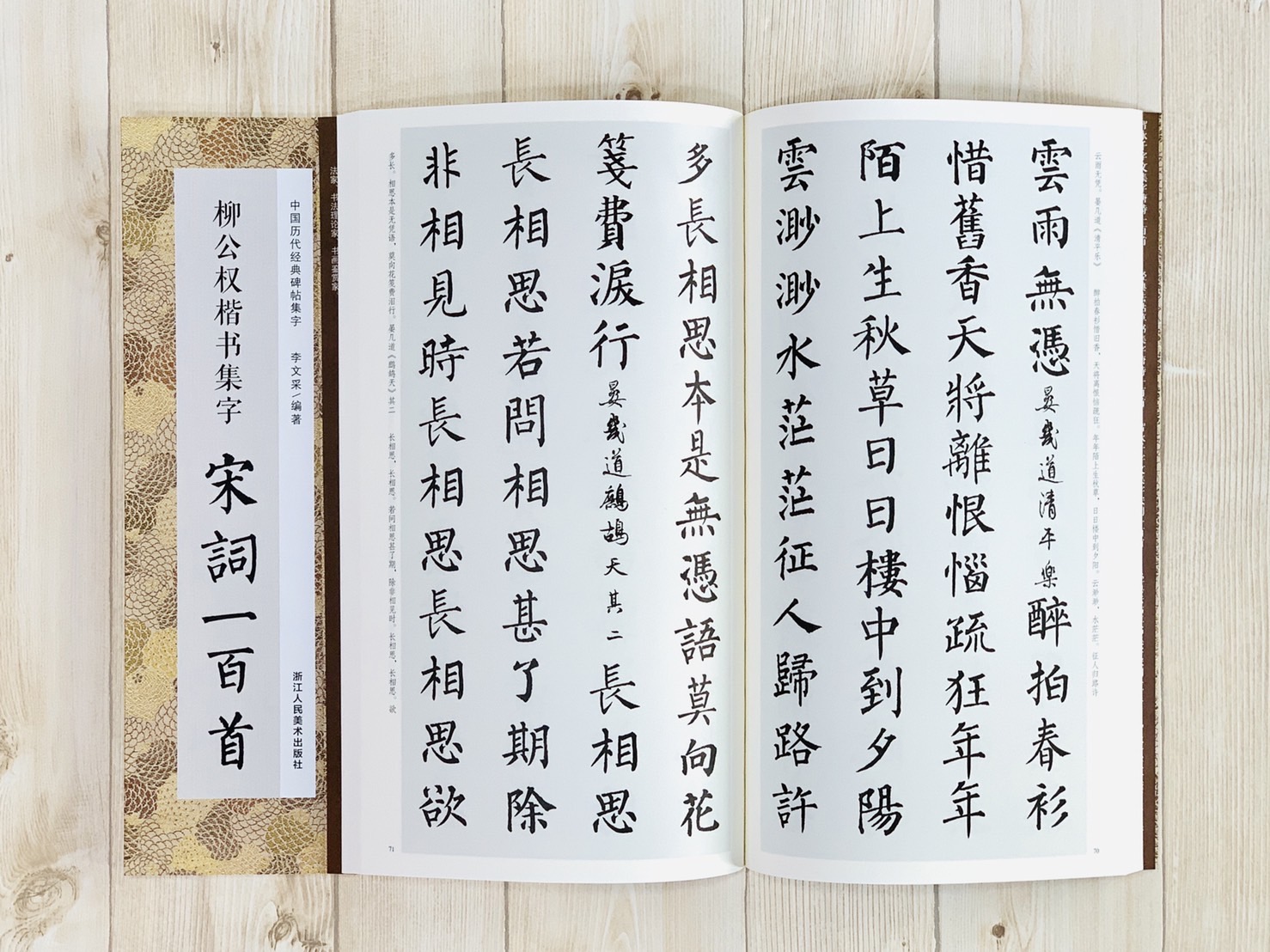 《柳公權楷書集字 宋詞一百首》中國歷代經典碑帖集字（第二輯） 浙江人民美術出版社