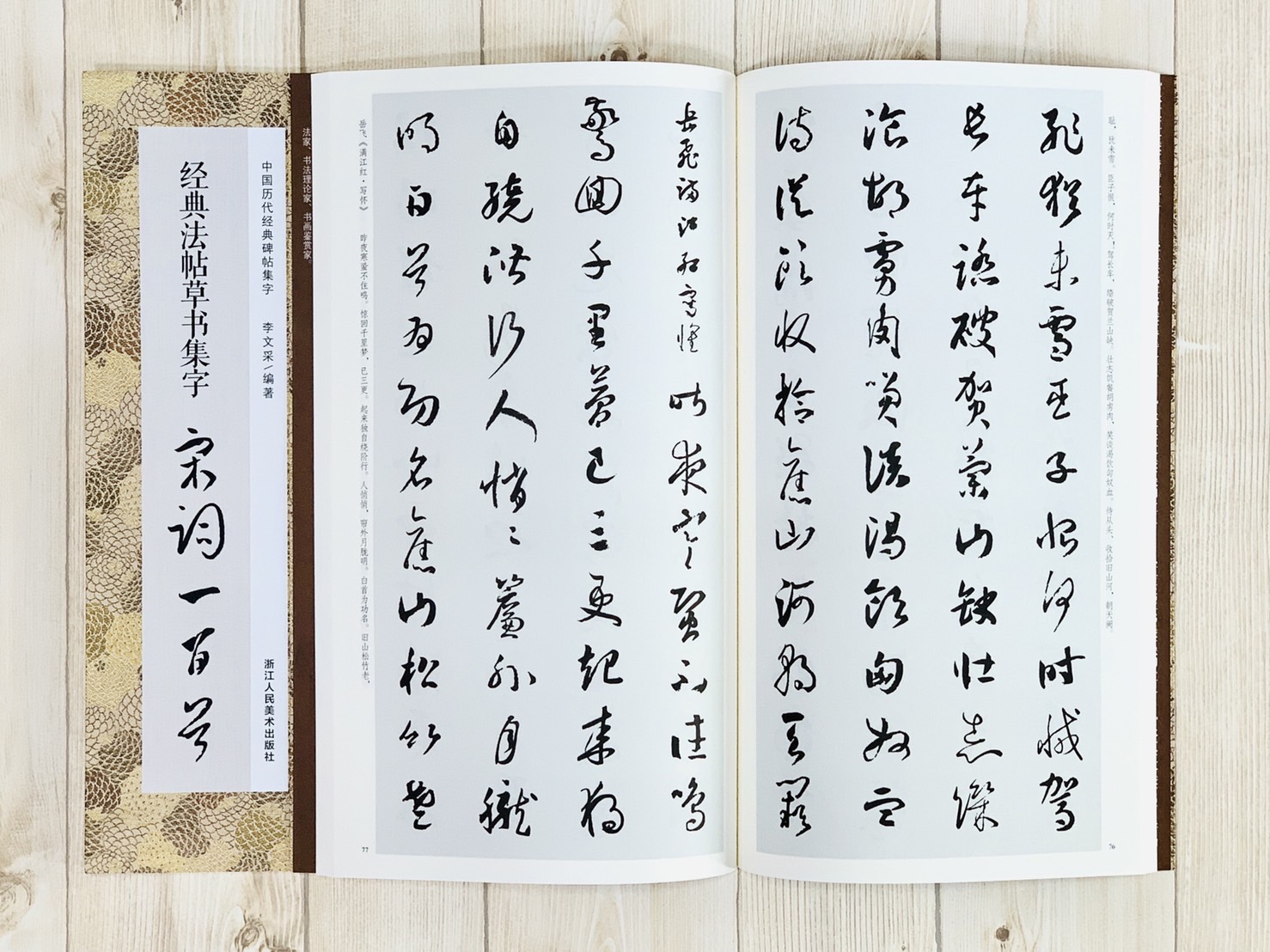 《經典法帖草書集字 宋詞一百首》中國歷代經典碑帖集字（第二輯） 浙江人民美術出版社