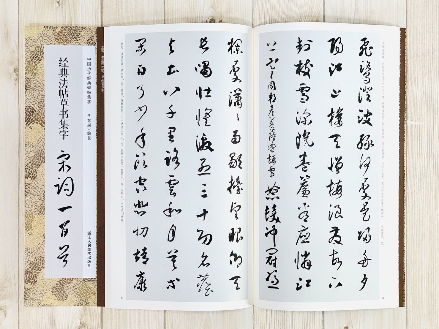 《經典法帖草書集字 宋詞一百首》中國歷代經典碑帖集字（第二輯） 浙江人民美術出版社