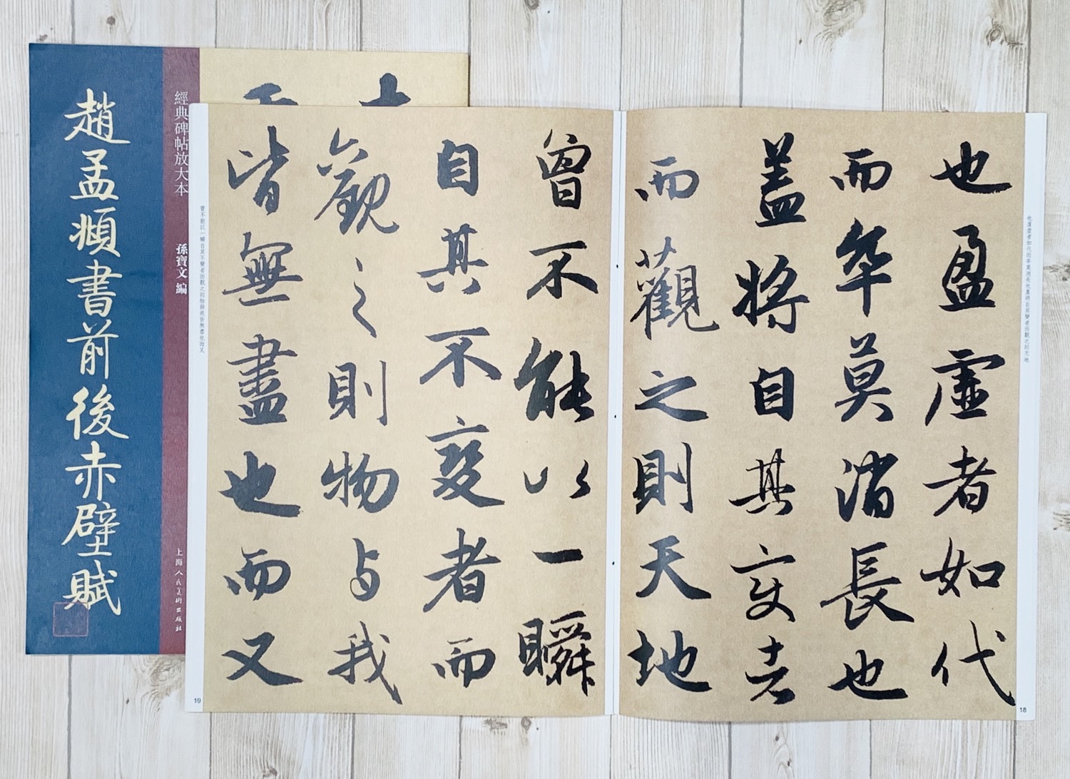 《趙孟頫書前後赤壁賦》經典碑帖放大本 孫寶文 編 上海人民美術出版社