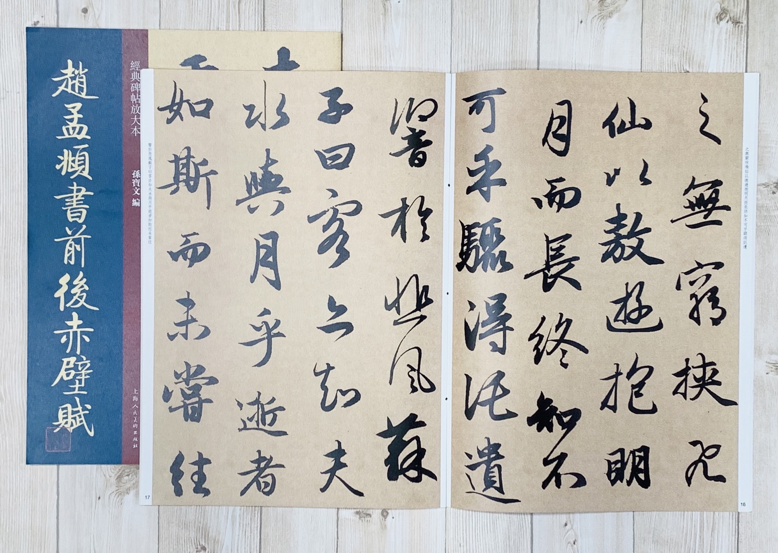 《趙孟頫書前後赤壁賦》經典碑帖放大本 孫寶文 編 上海人民美術出版社