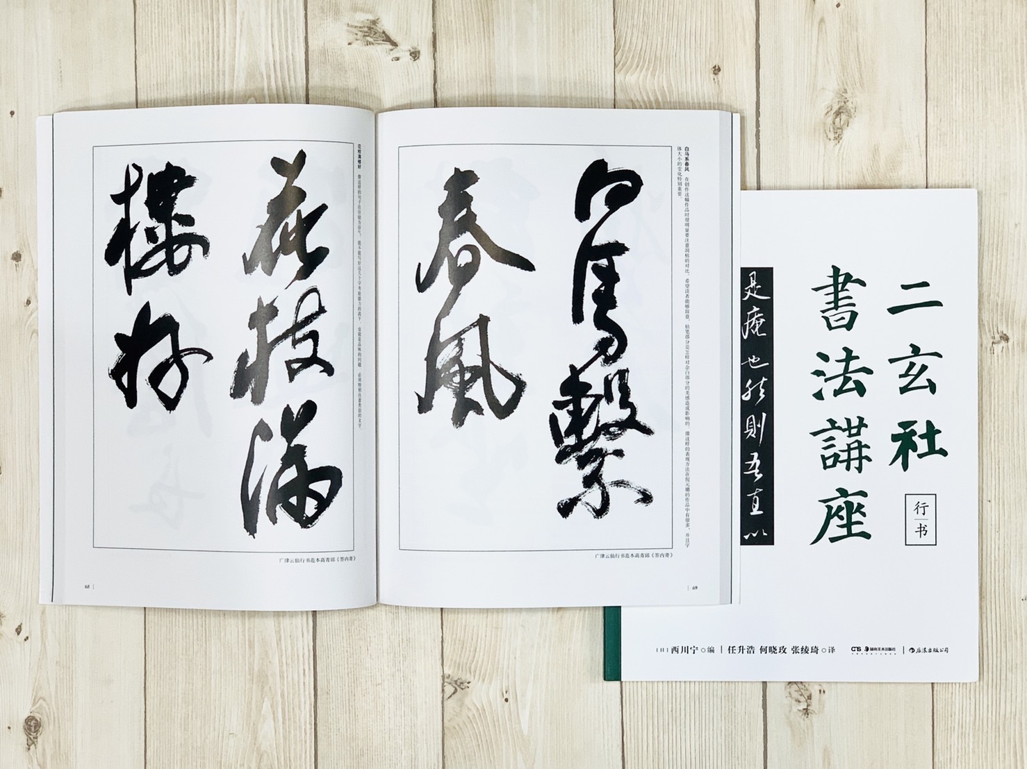 《二玄社書法講座 行書》 西川寧 主編 湖南美術出版社