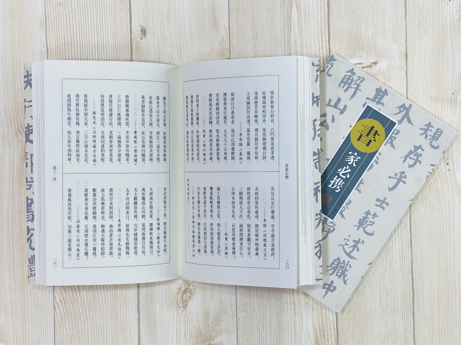 《畫家必攜 / 書家必攜》 張同標 編著 河南美術出版社